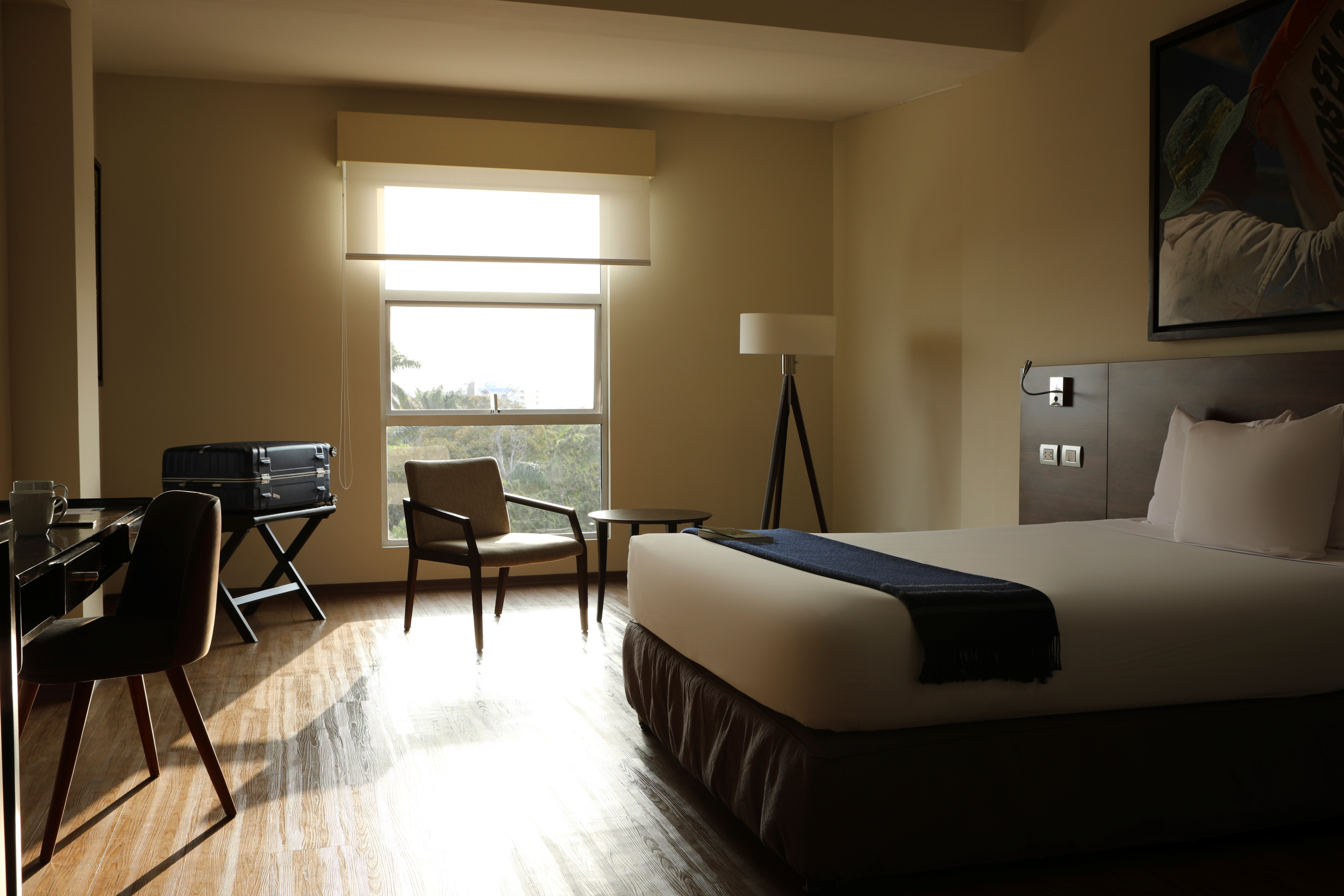 Single Superior Queen Bed