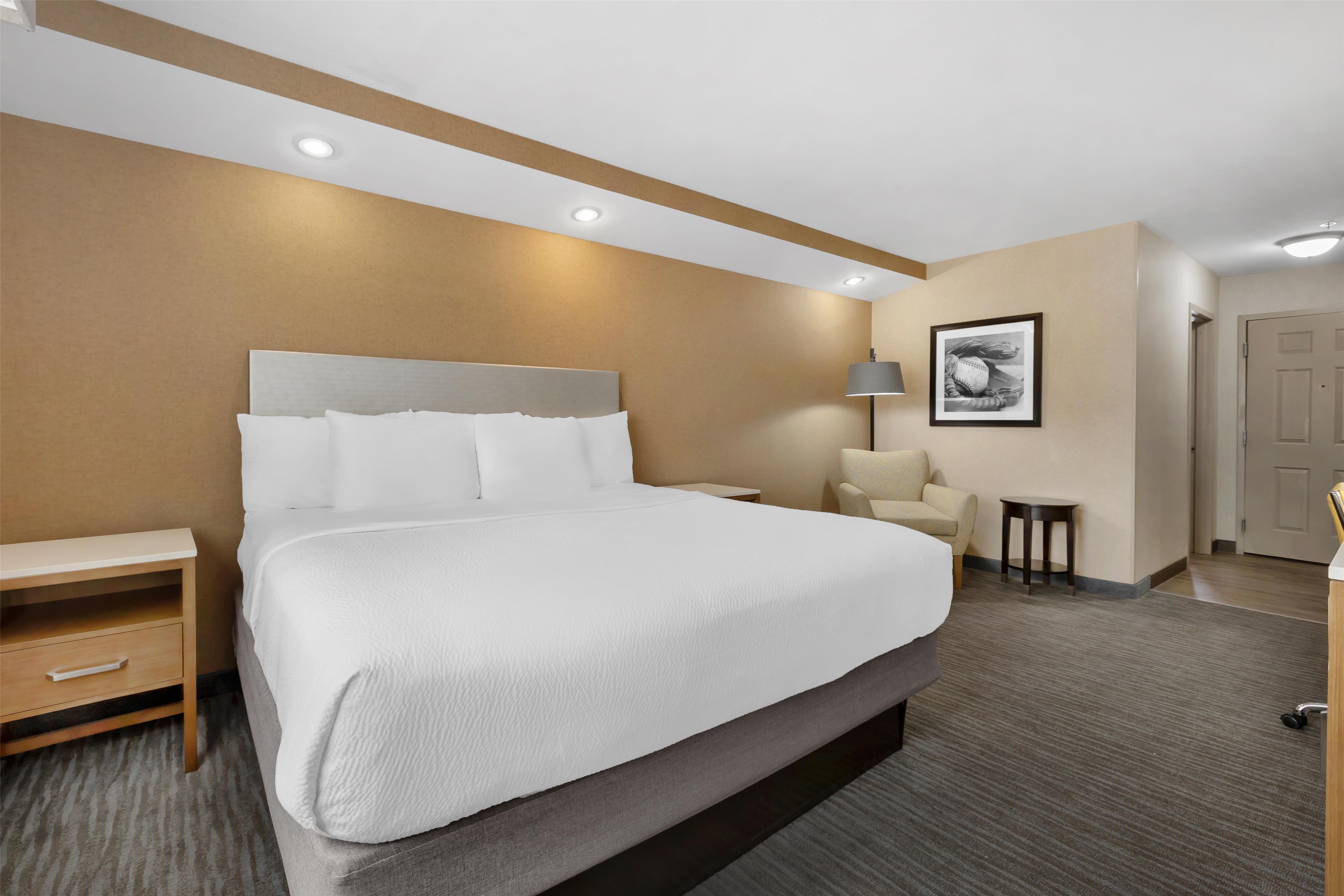 Suite King Bed Non Smoking