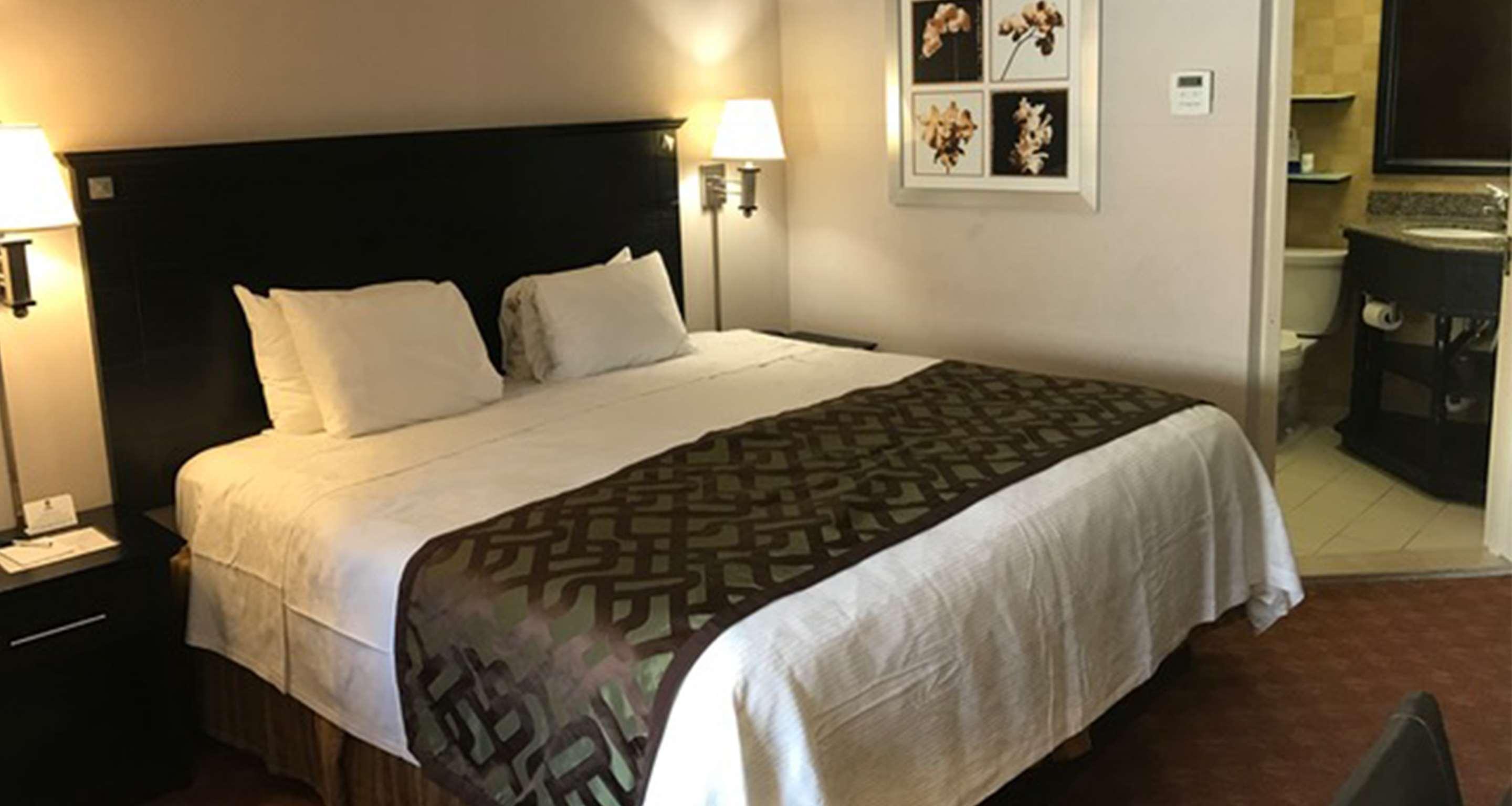 Room King Bed Non Smoking