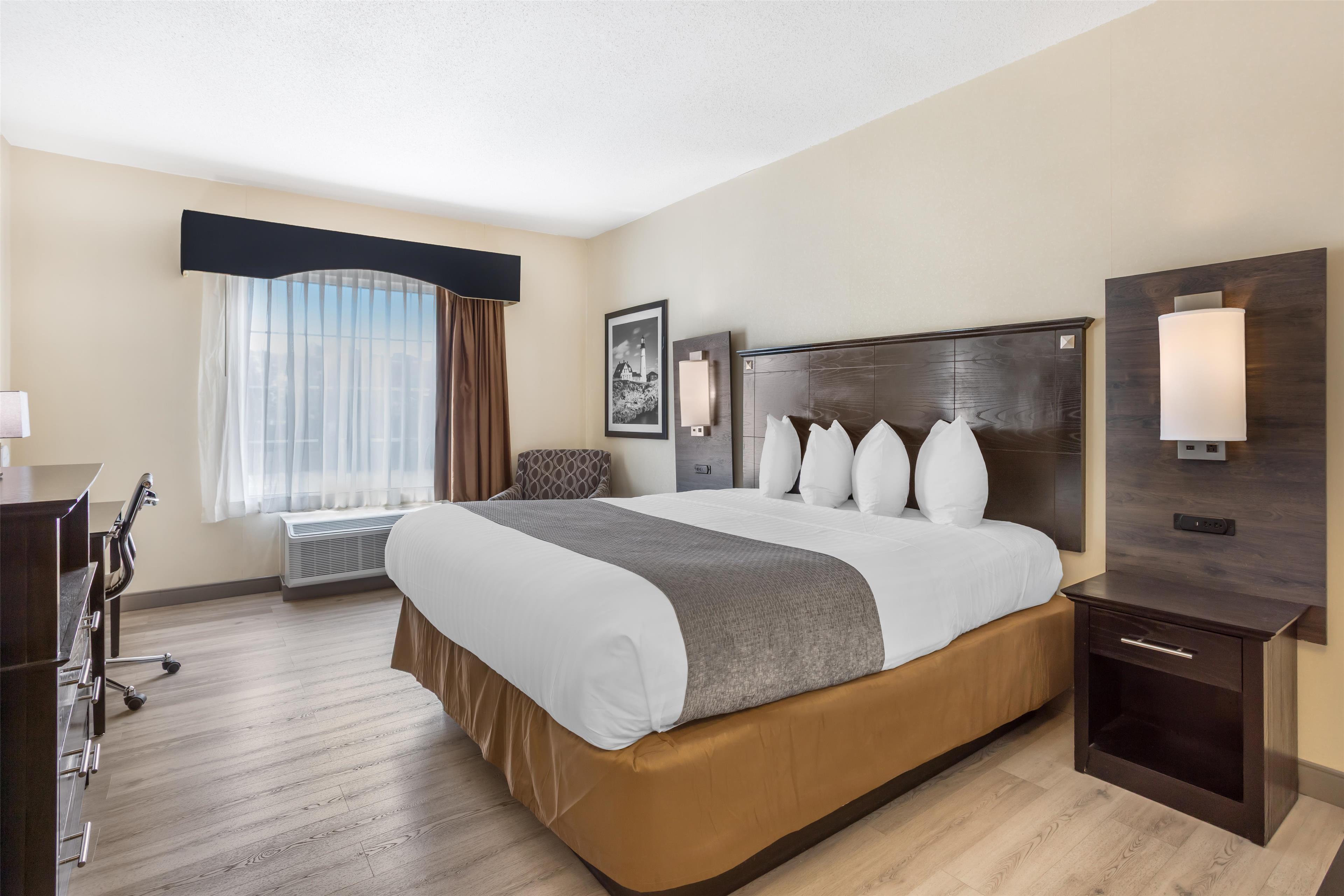 Room King Bed Non Smoking