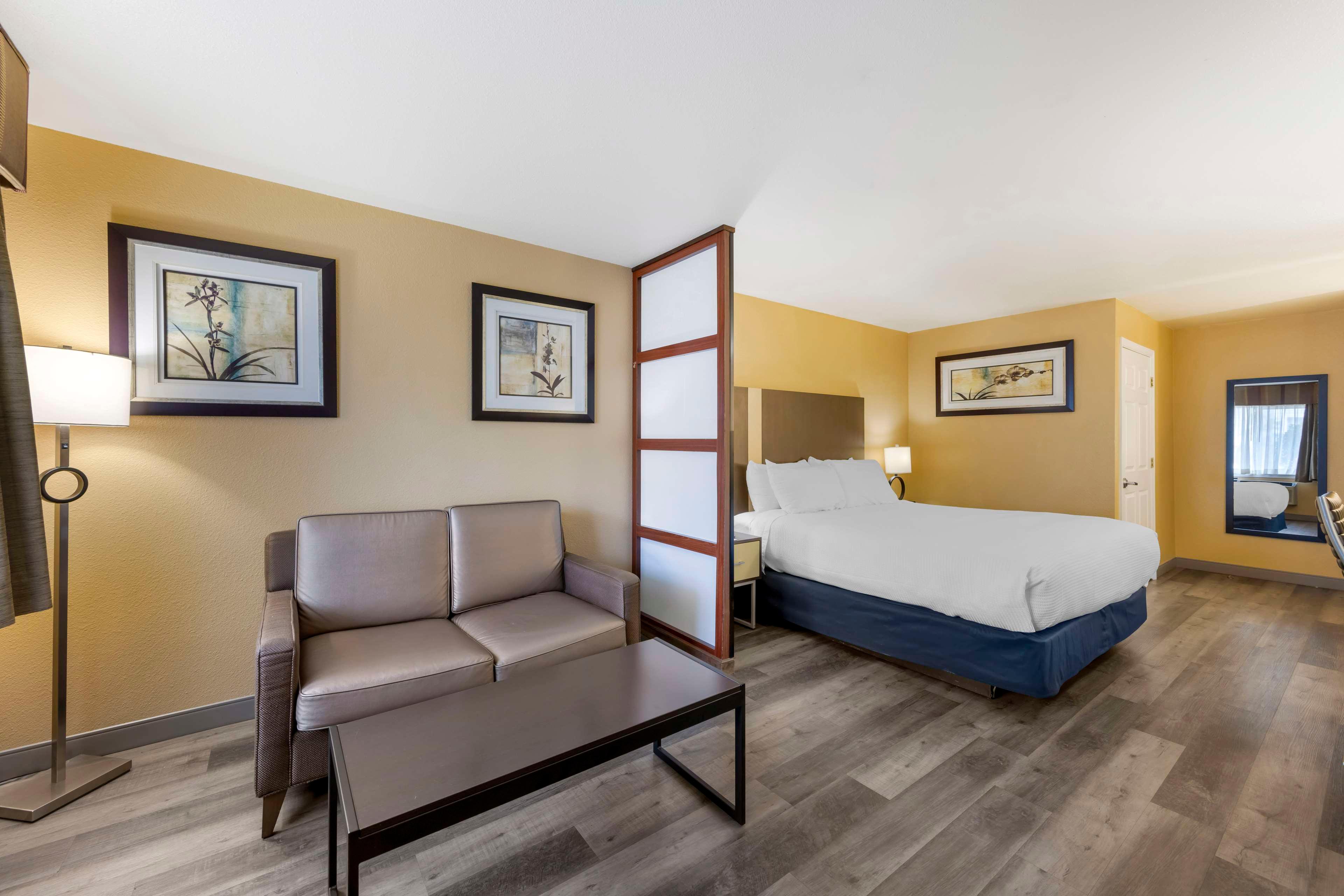 Junior Suite King Bed Non Smoking