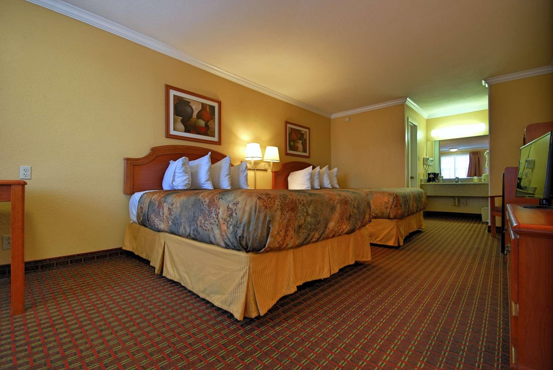 Room King Size Bed