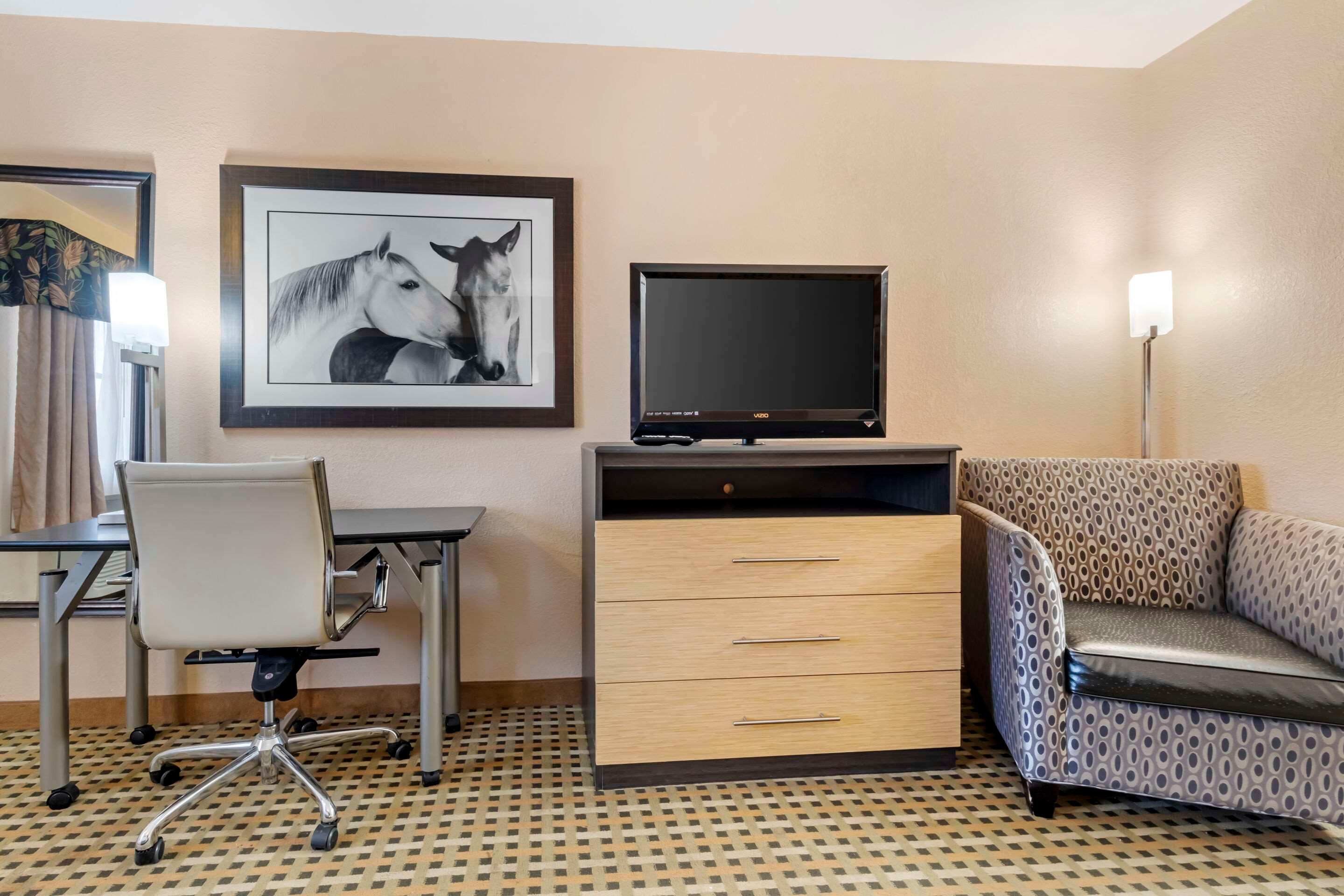 Double Two Queen Beds