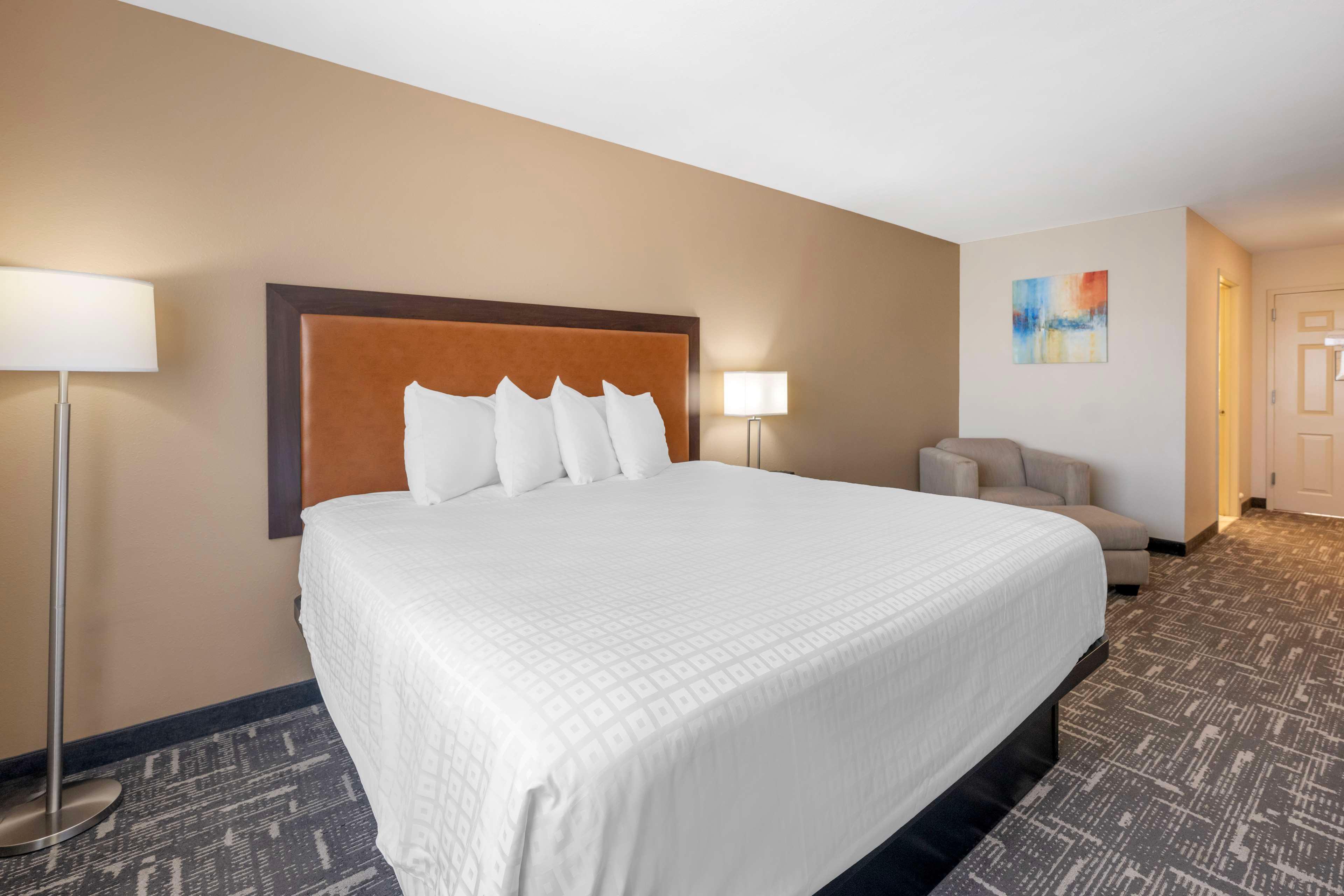 Double King Bed Non Smoking