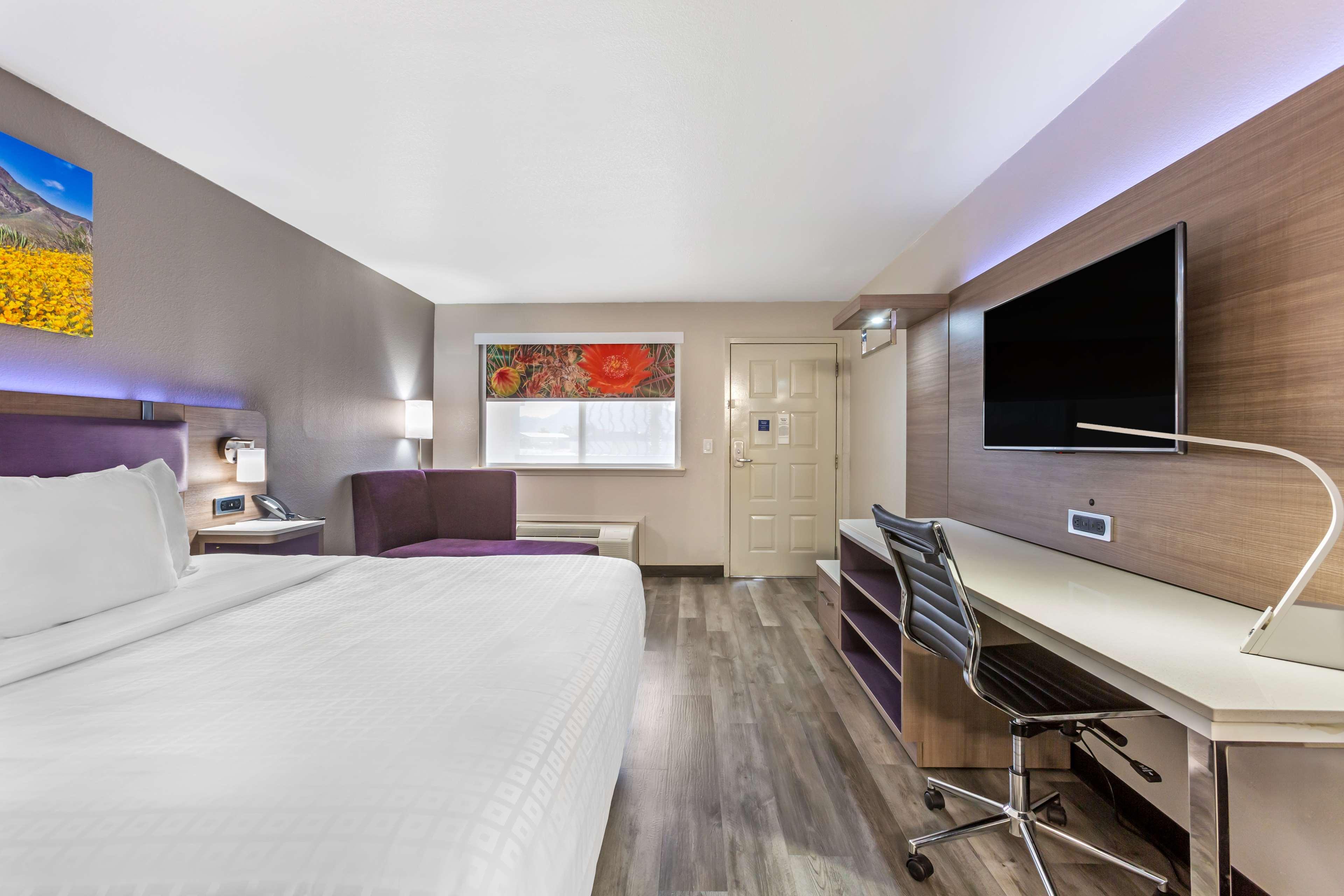 Double King Bed Non Smoking