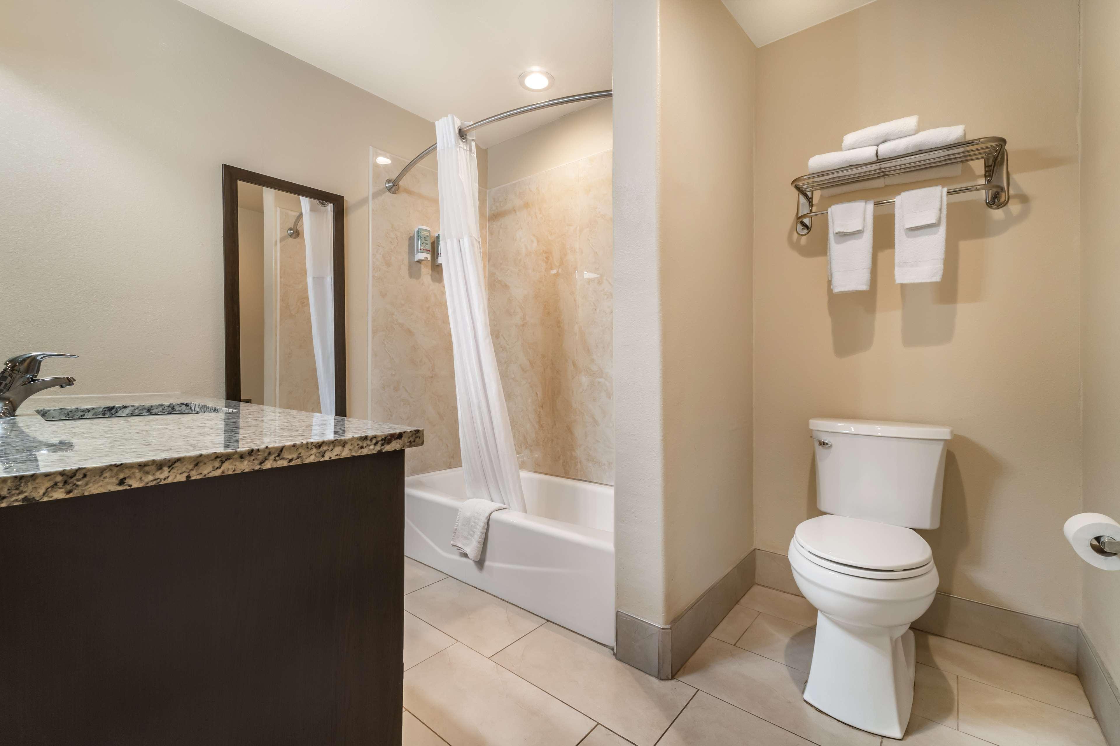 Suite King Bed Non Smoking