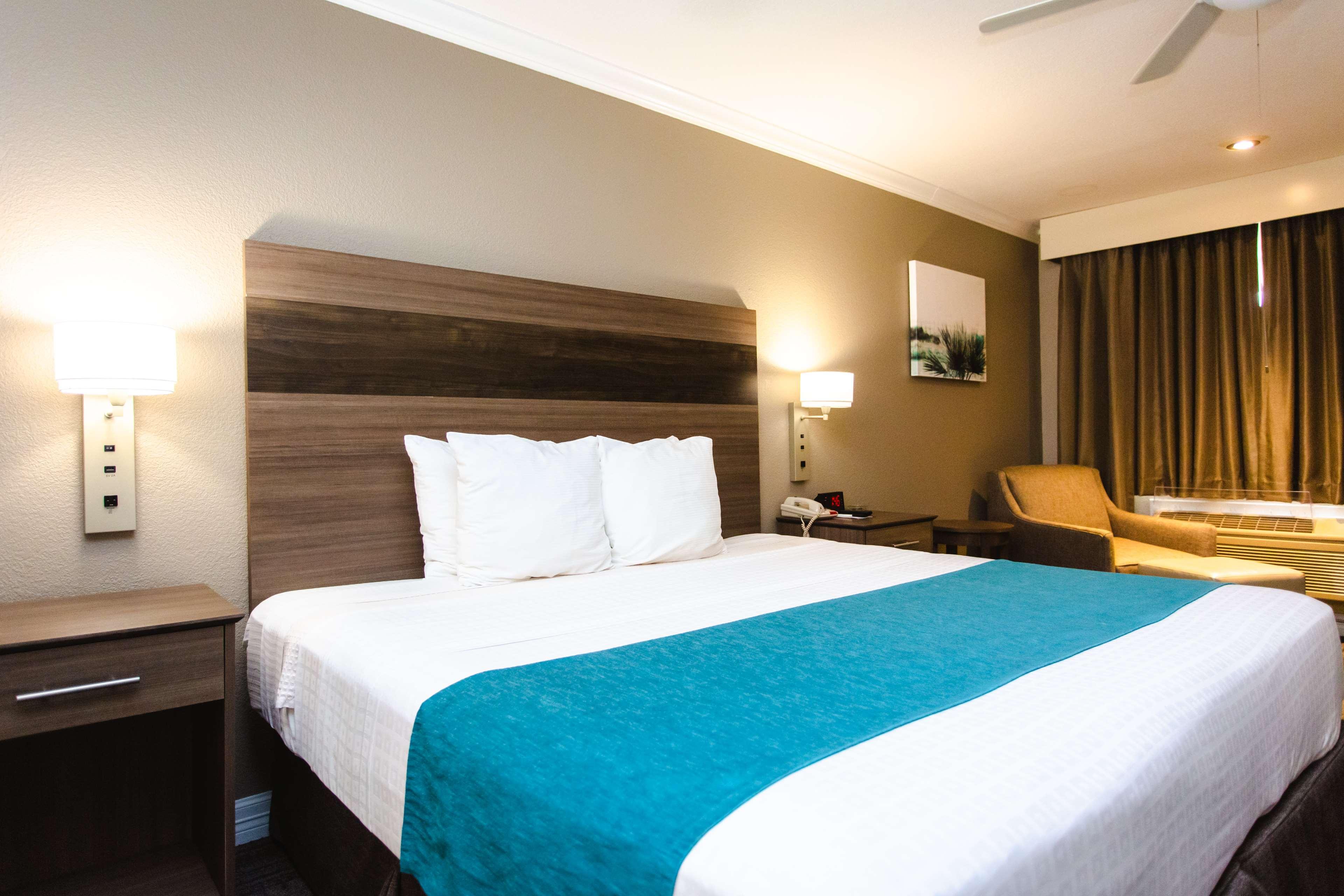 Room King Bed Non Smoking