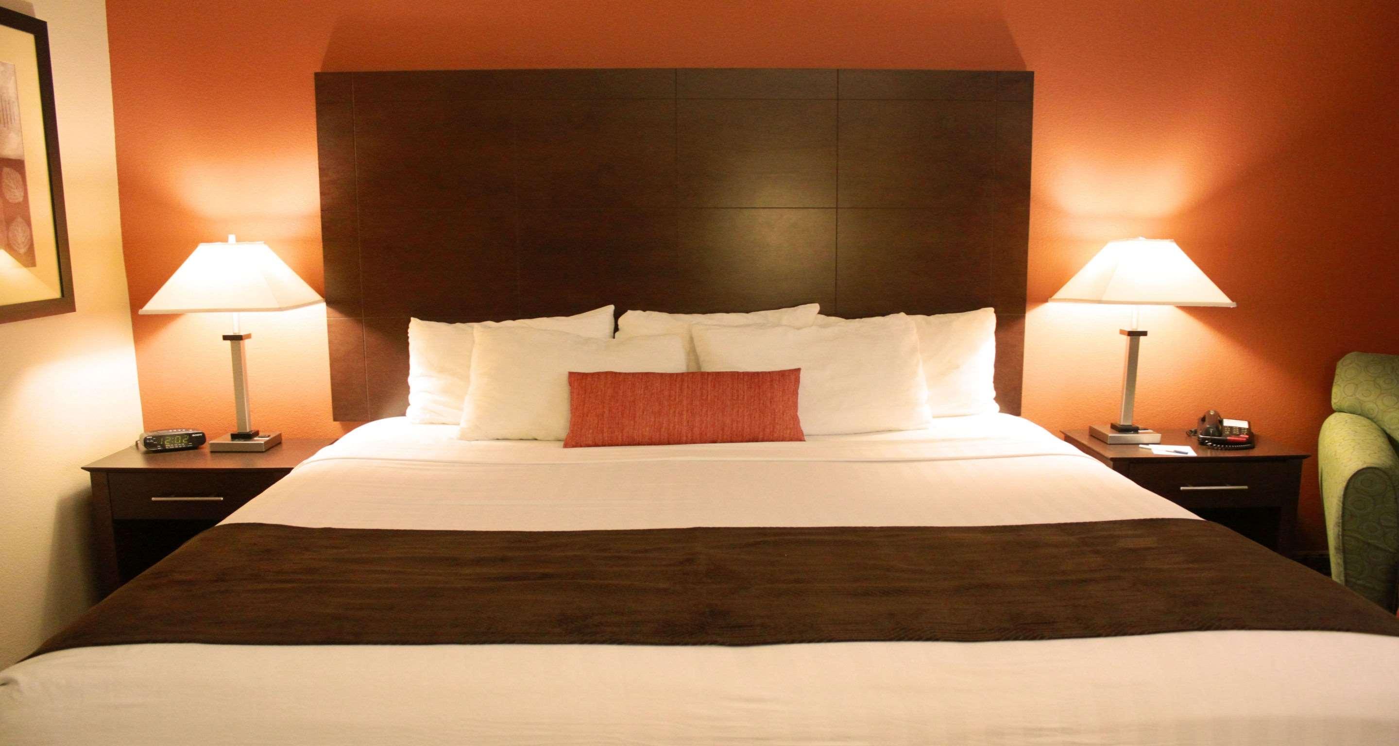 Suite King Bed Non Smoking