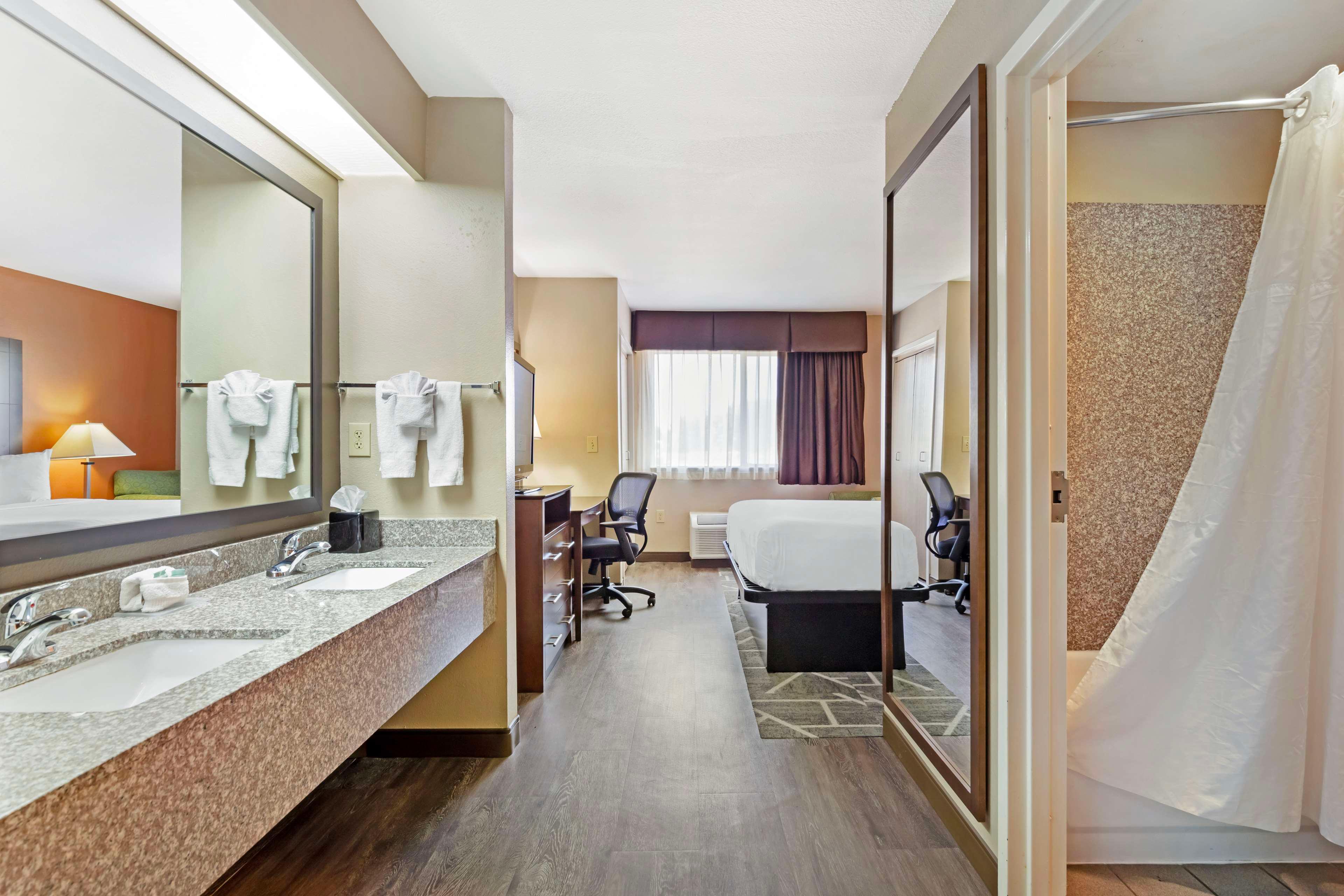 Suite King Bed Non Smoking