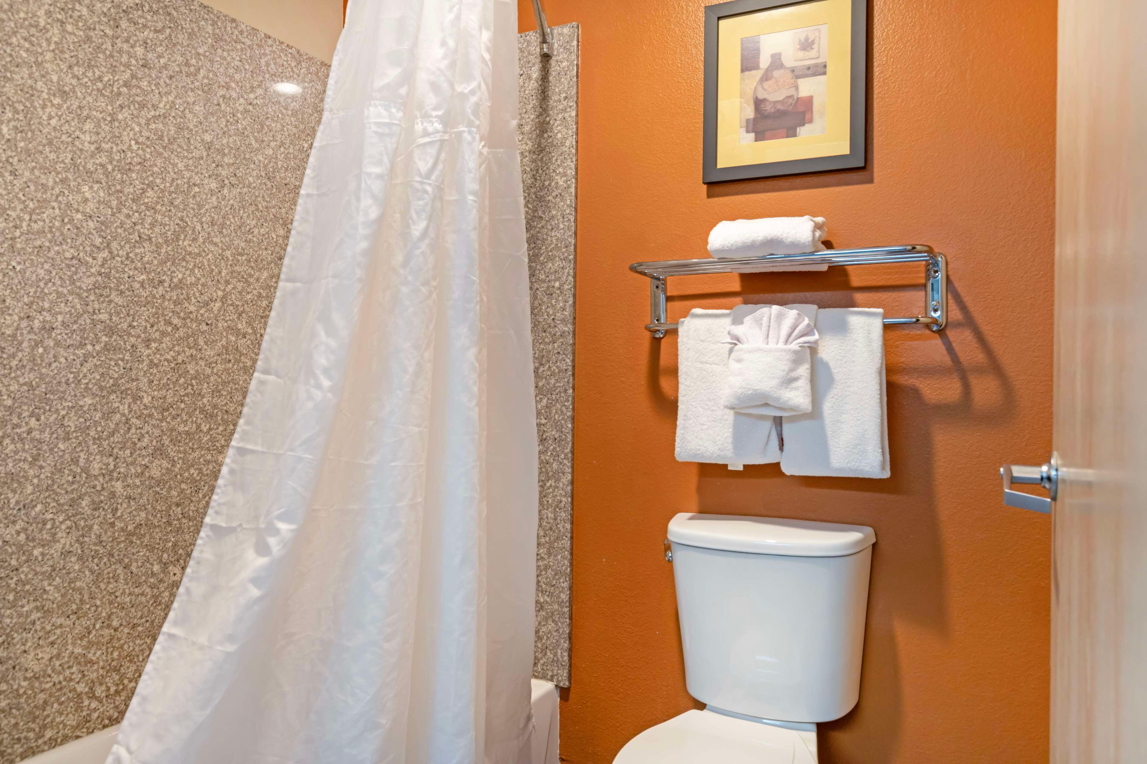 Suite King Bed Non Smoking