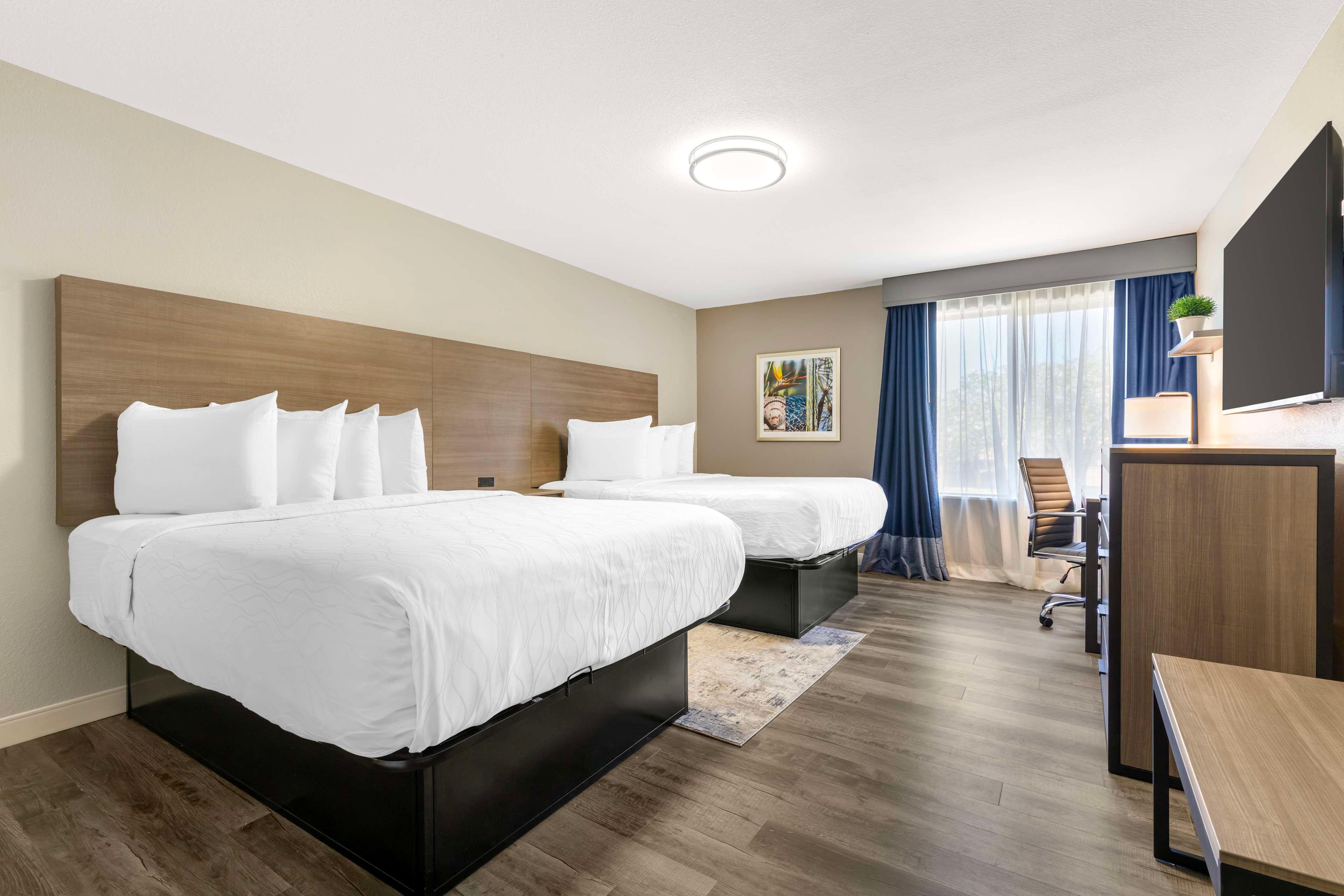 Suite Two Queen Beds