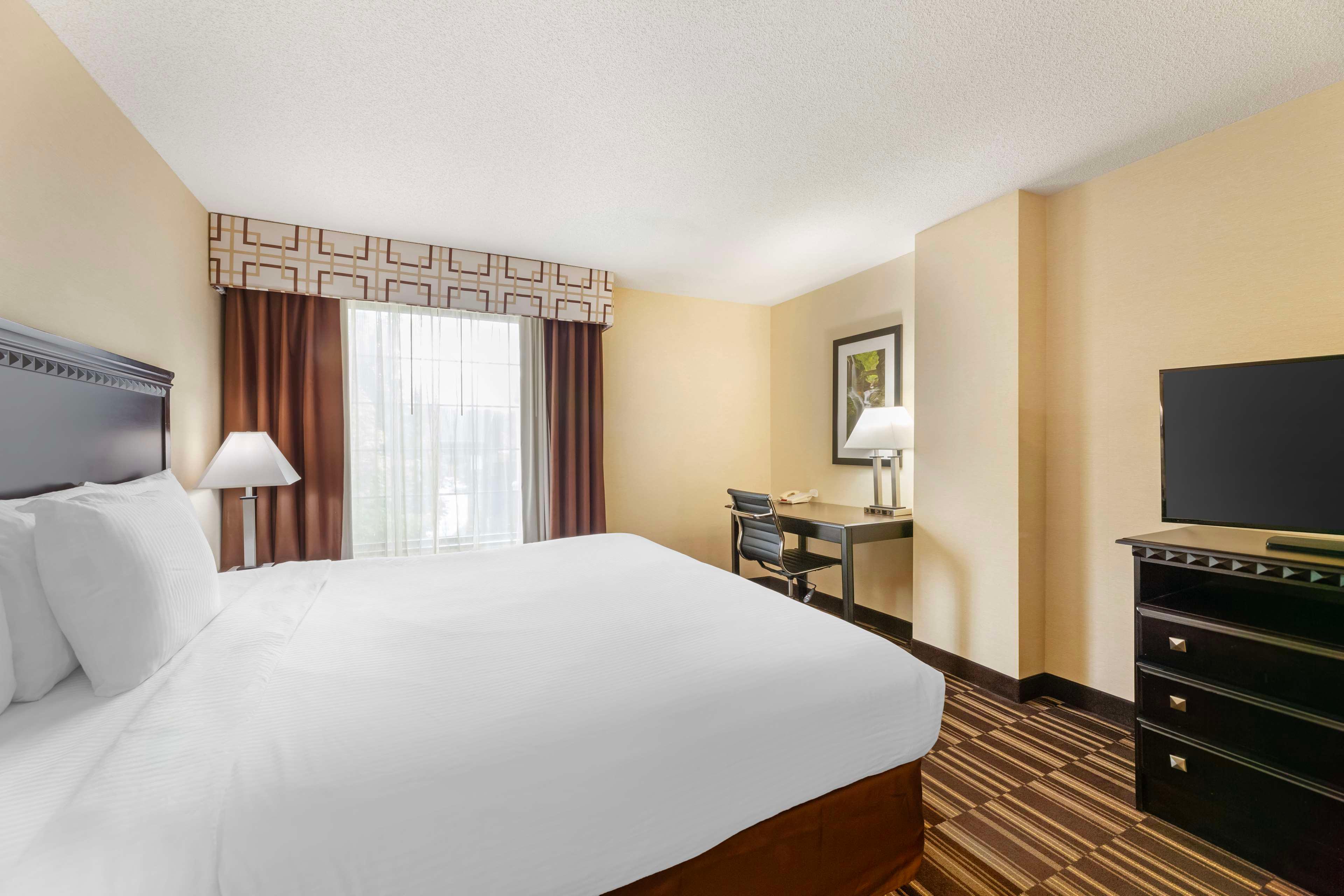 Room King Bed Non Smoking