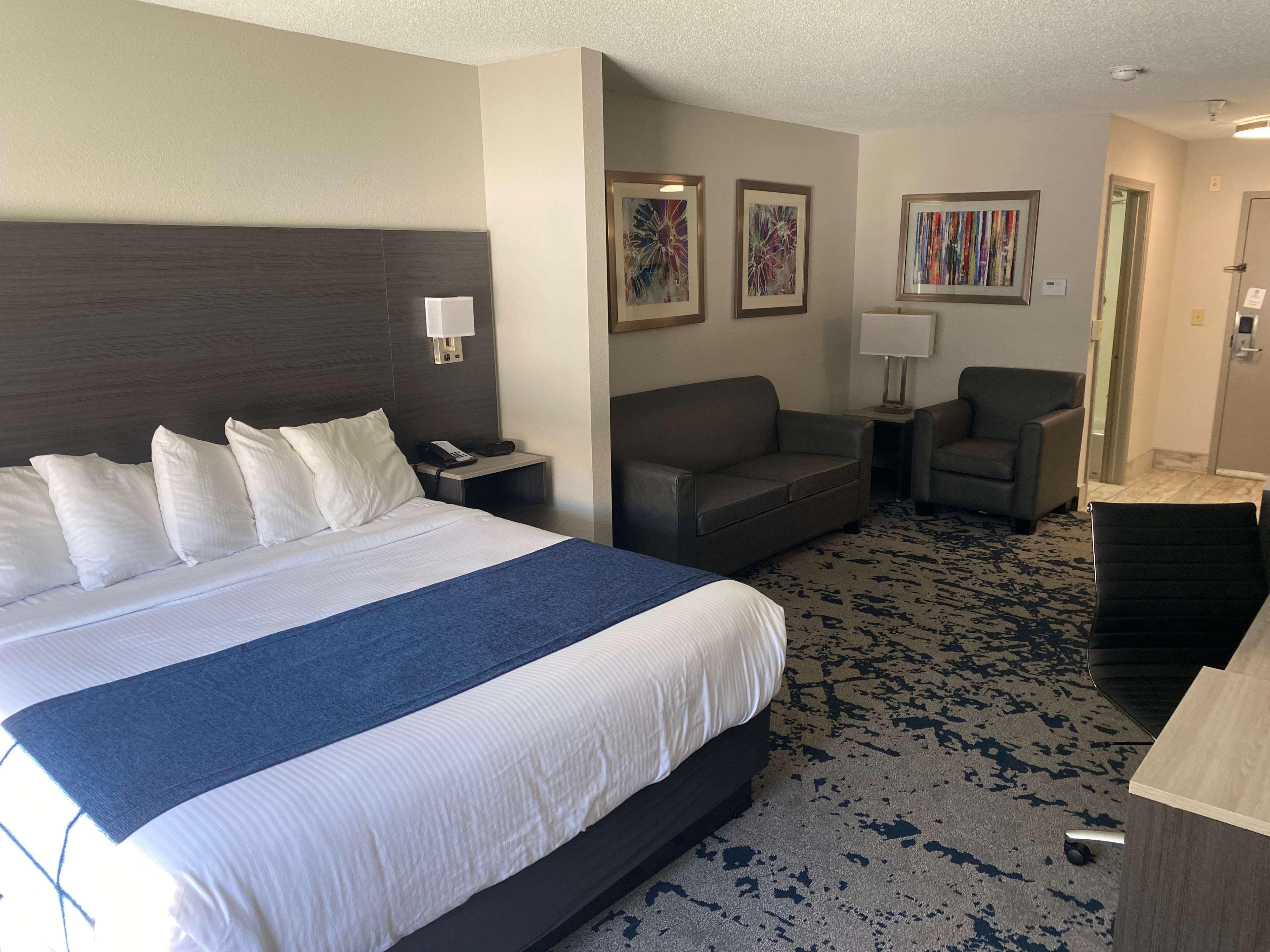 Suite King Bed Non Smoking