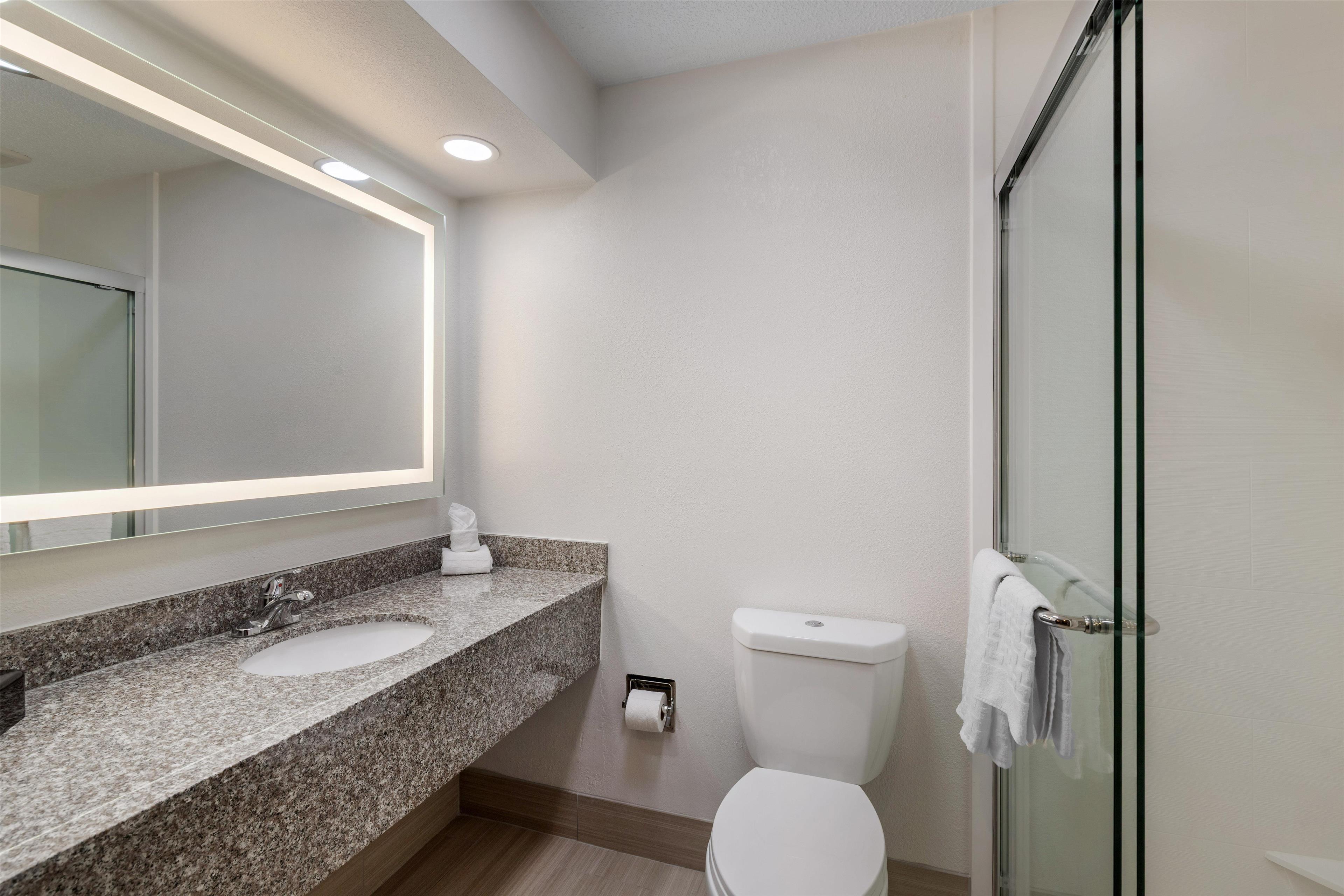 Suite King Bed Non Smoking