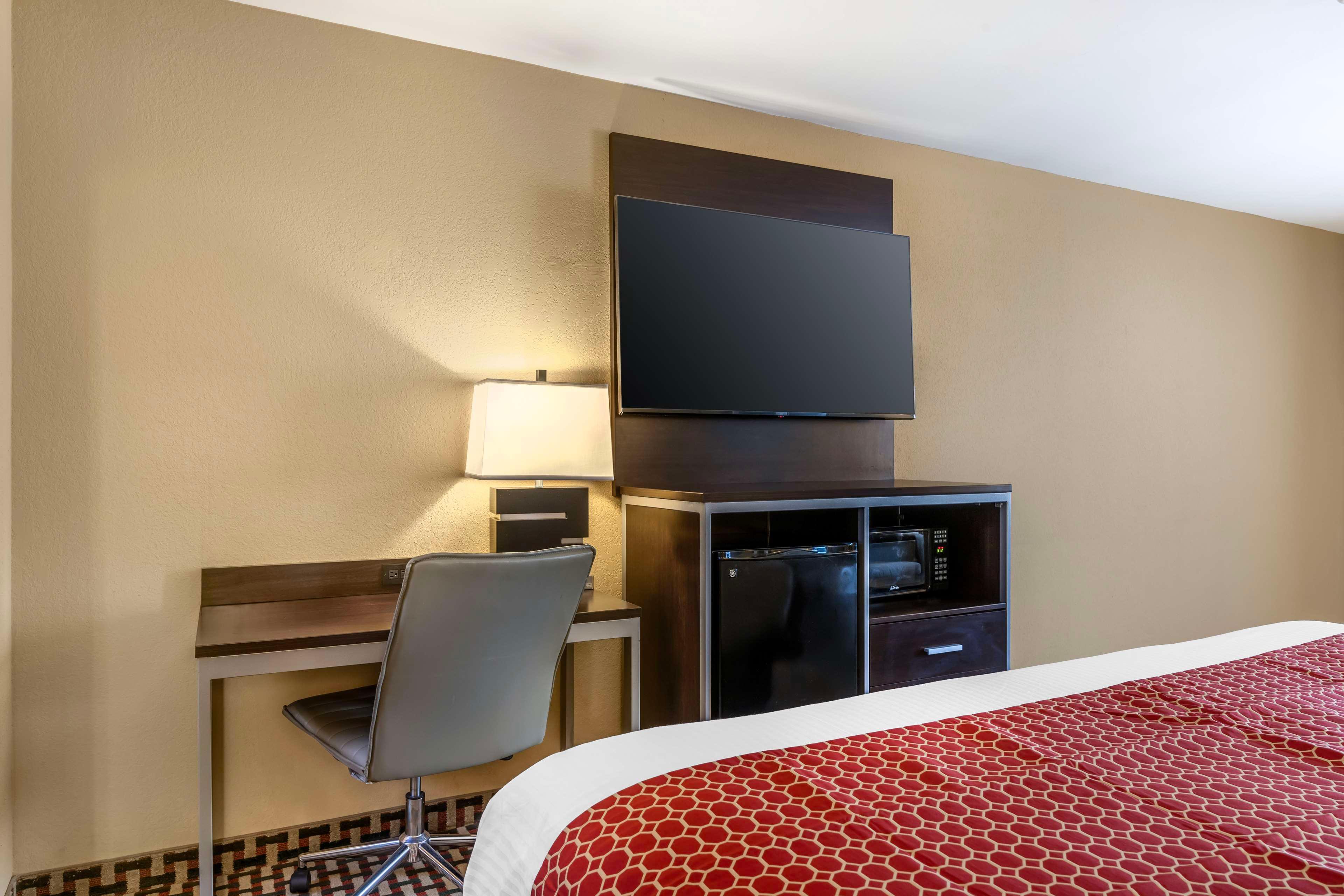 Suite King Bed Non Smoking