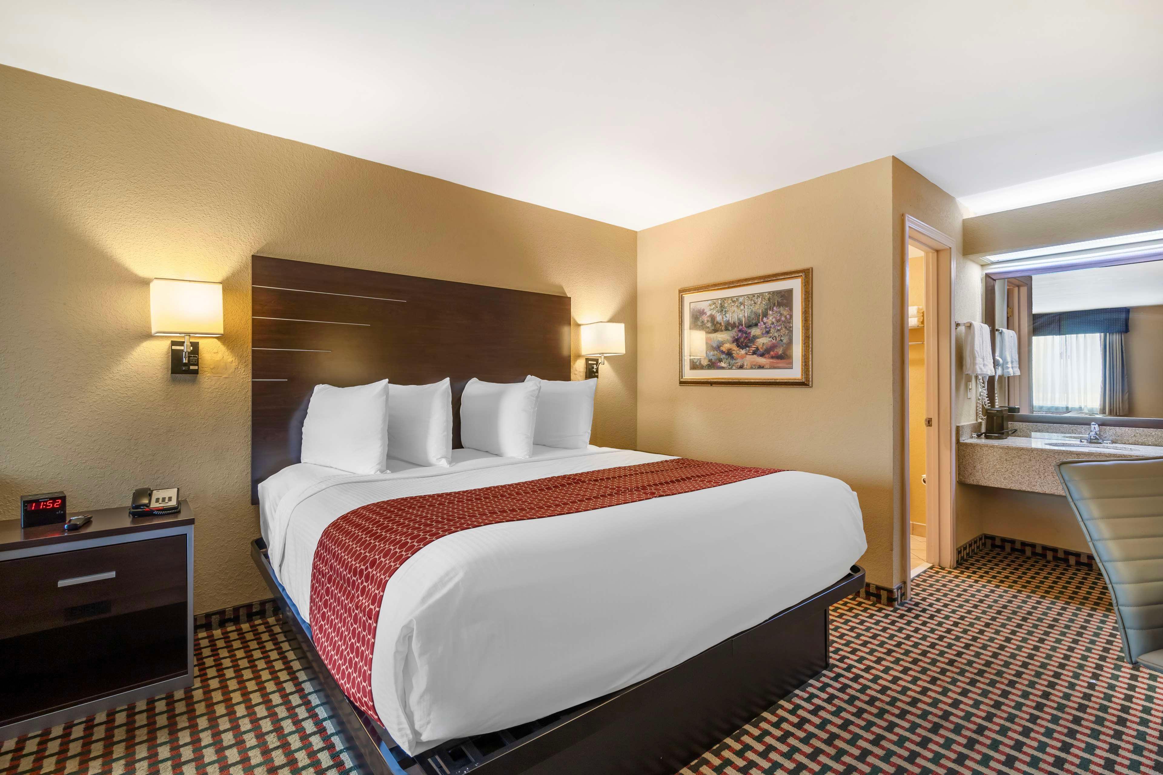 Suite King Bed Non Smoking