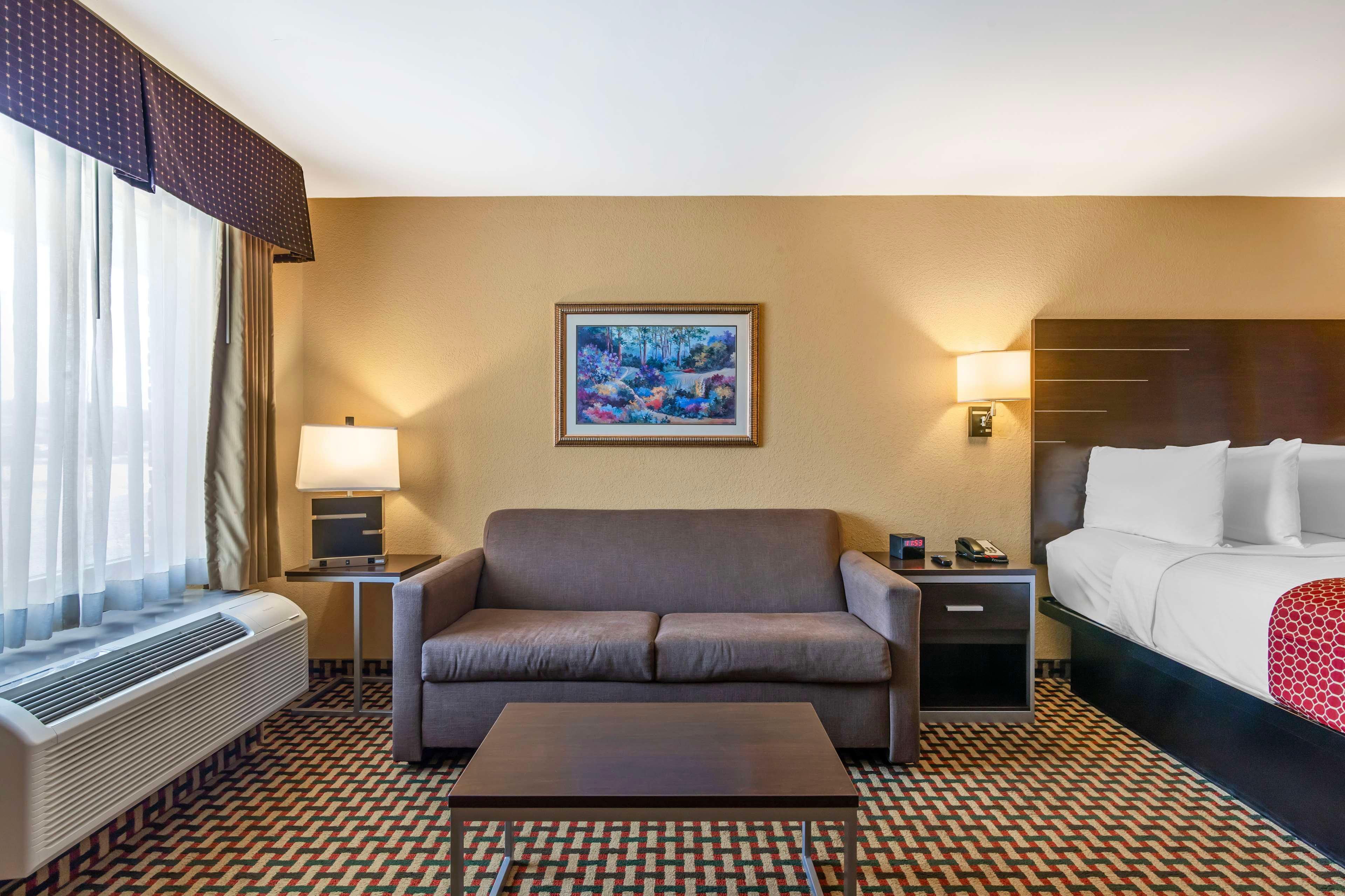 Suite King Bed Non Smoking