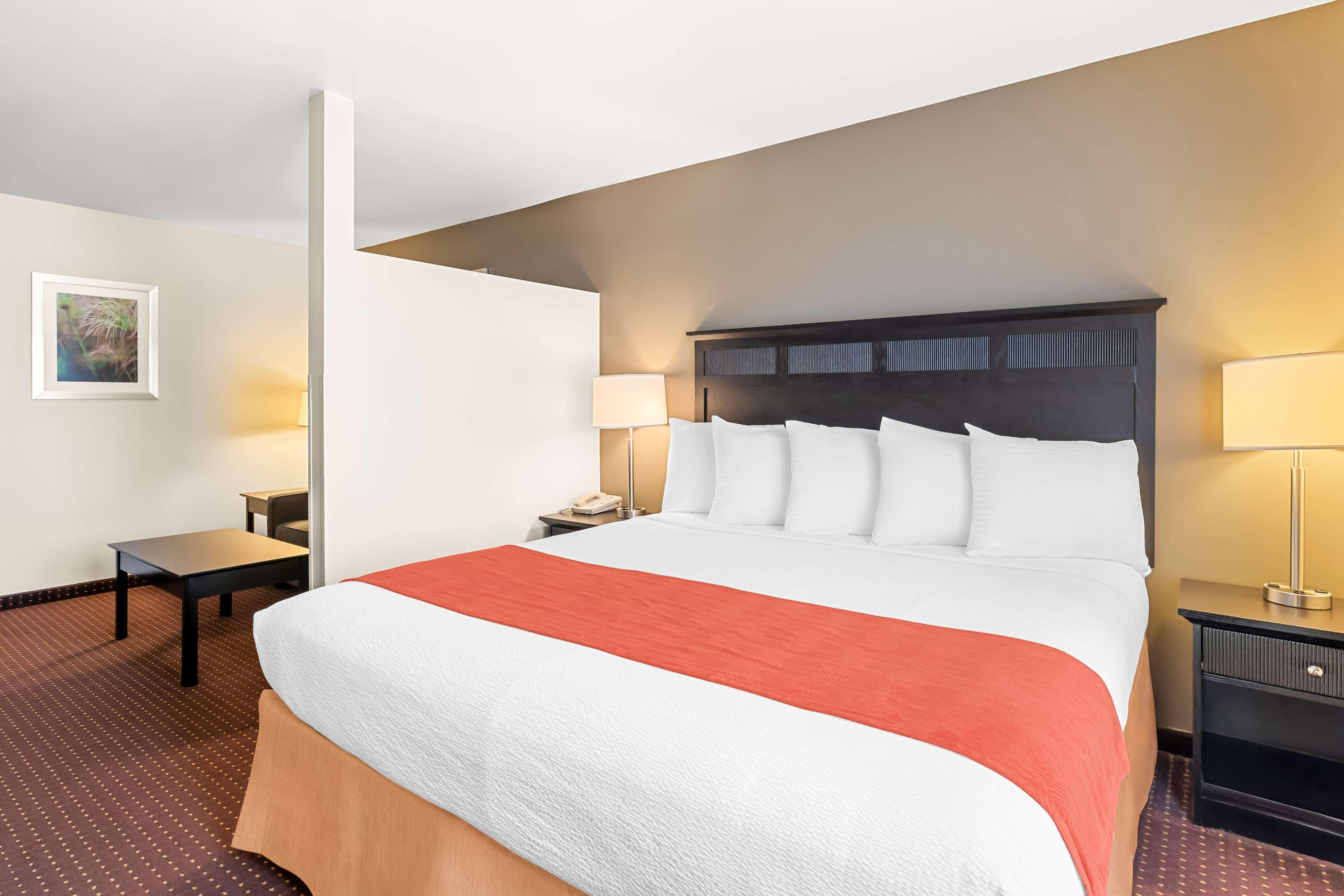 Suite King Bed Non Smoking