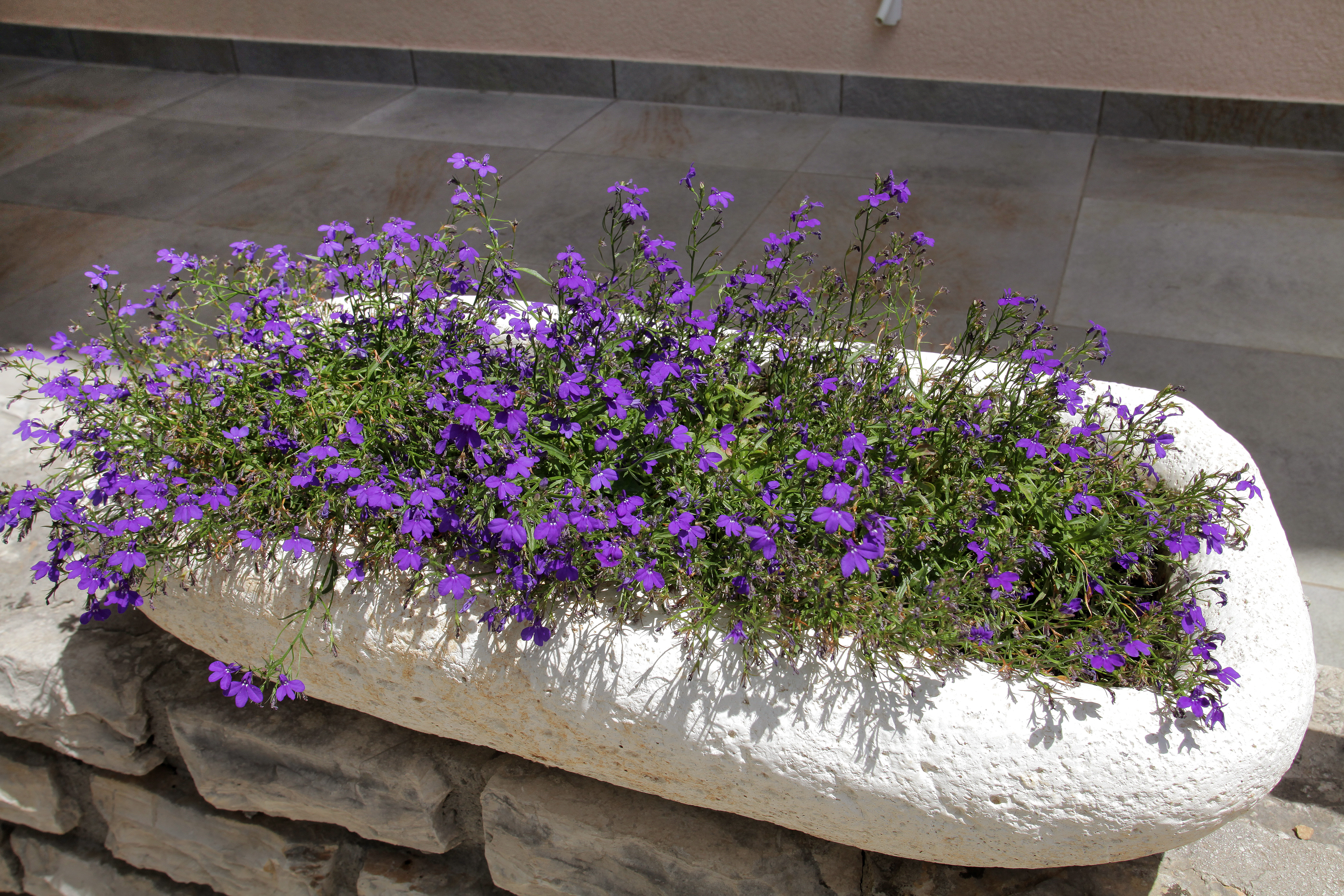 Apartment Two Bedrooms