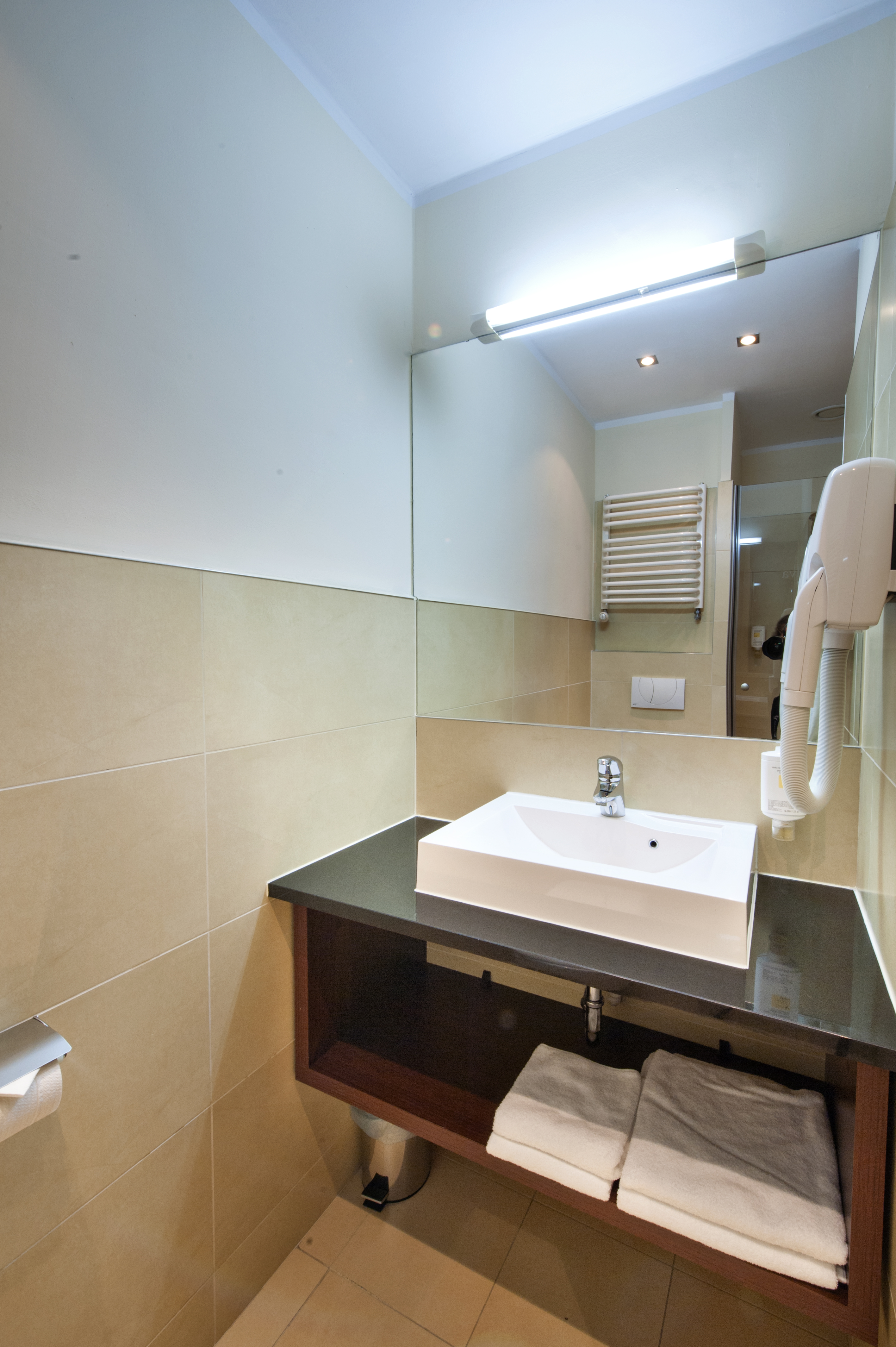 Double or Twin Standard