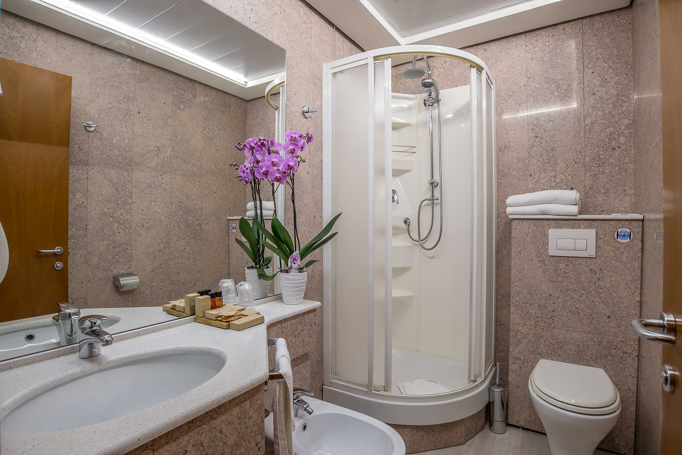 Double or Twin Superior