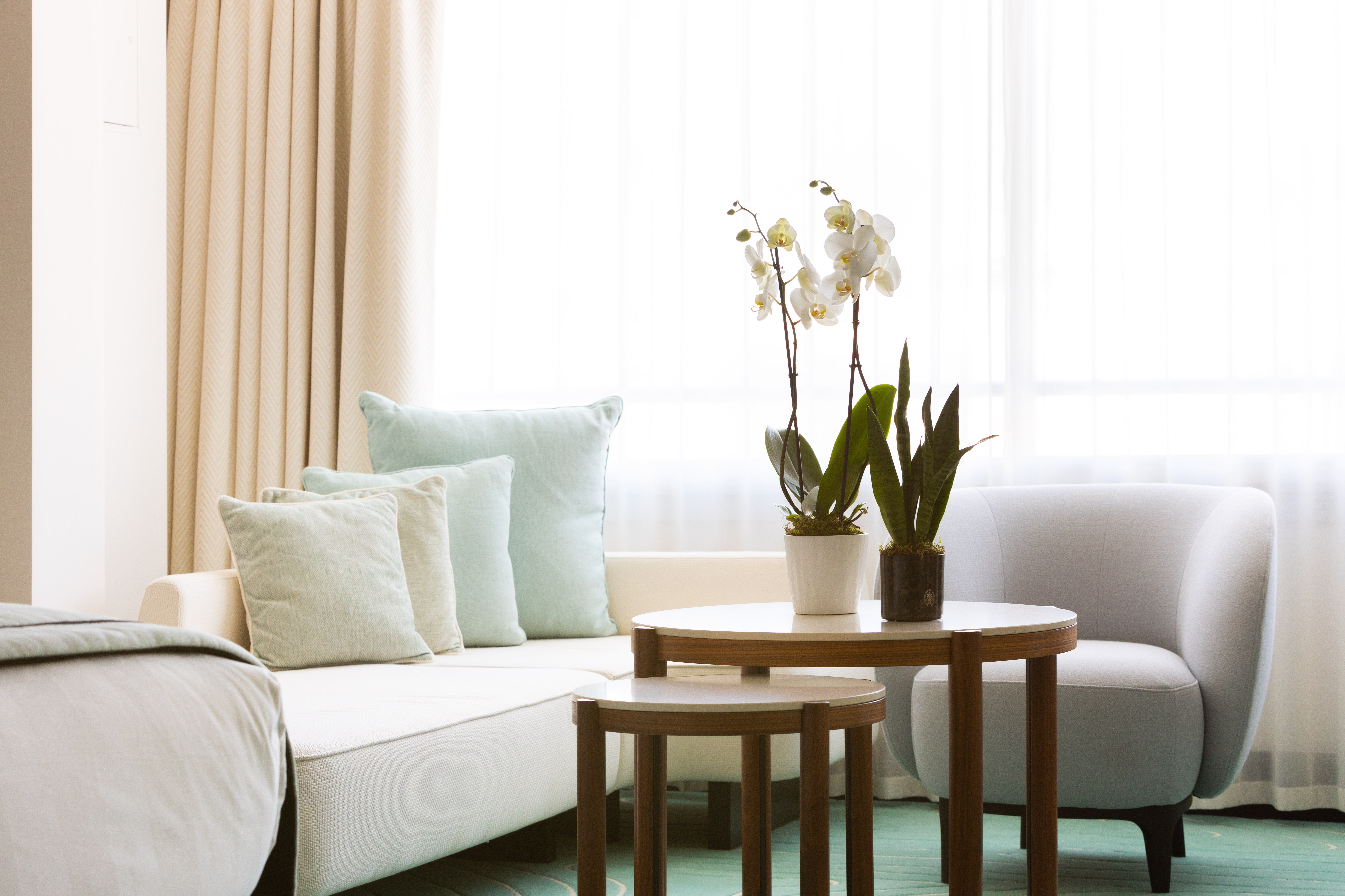 Junior Suite City View