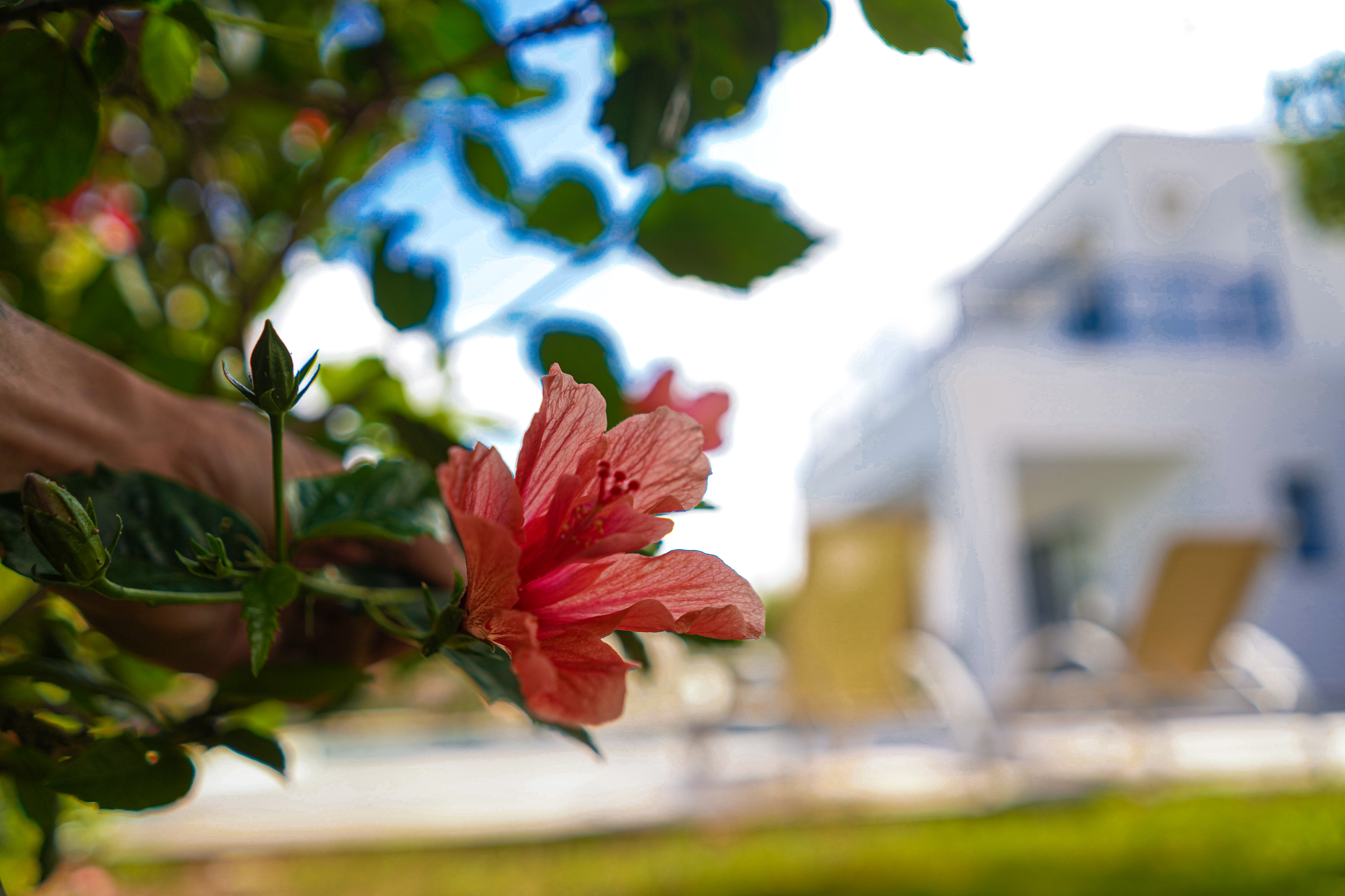 Villa Three Bedrooms