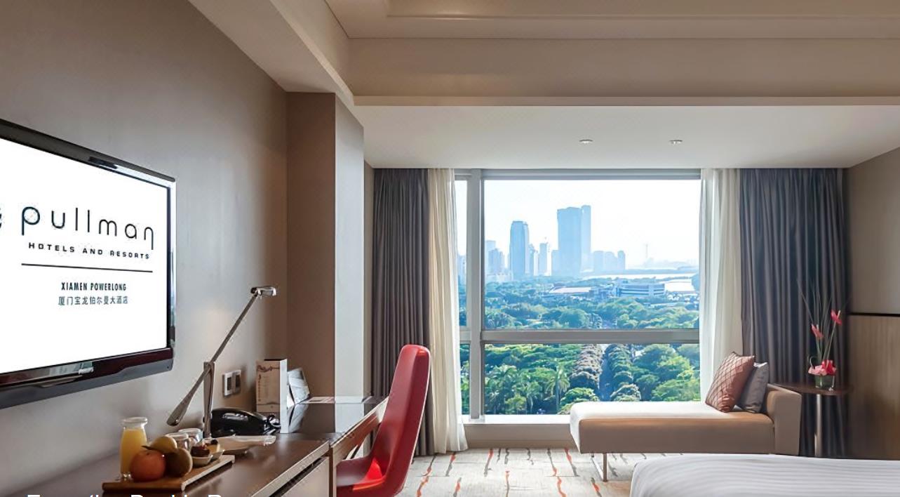 Double Deluxe Executive