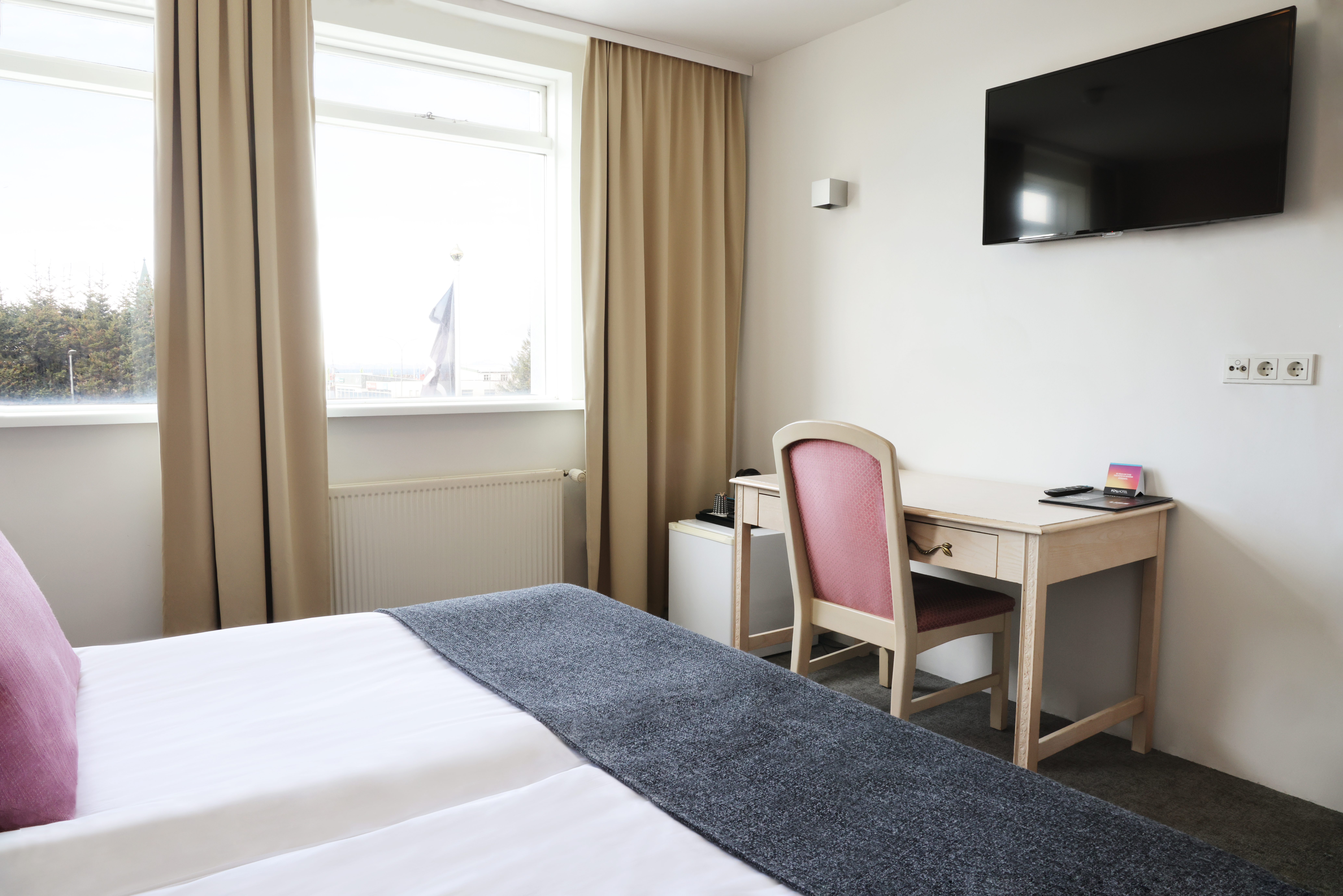 Double or Twin Economy