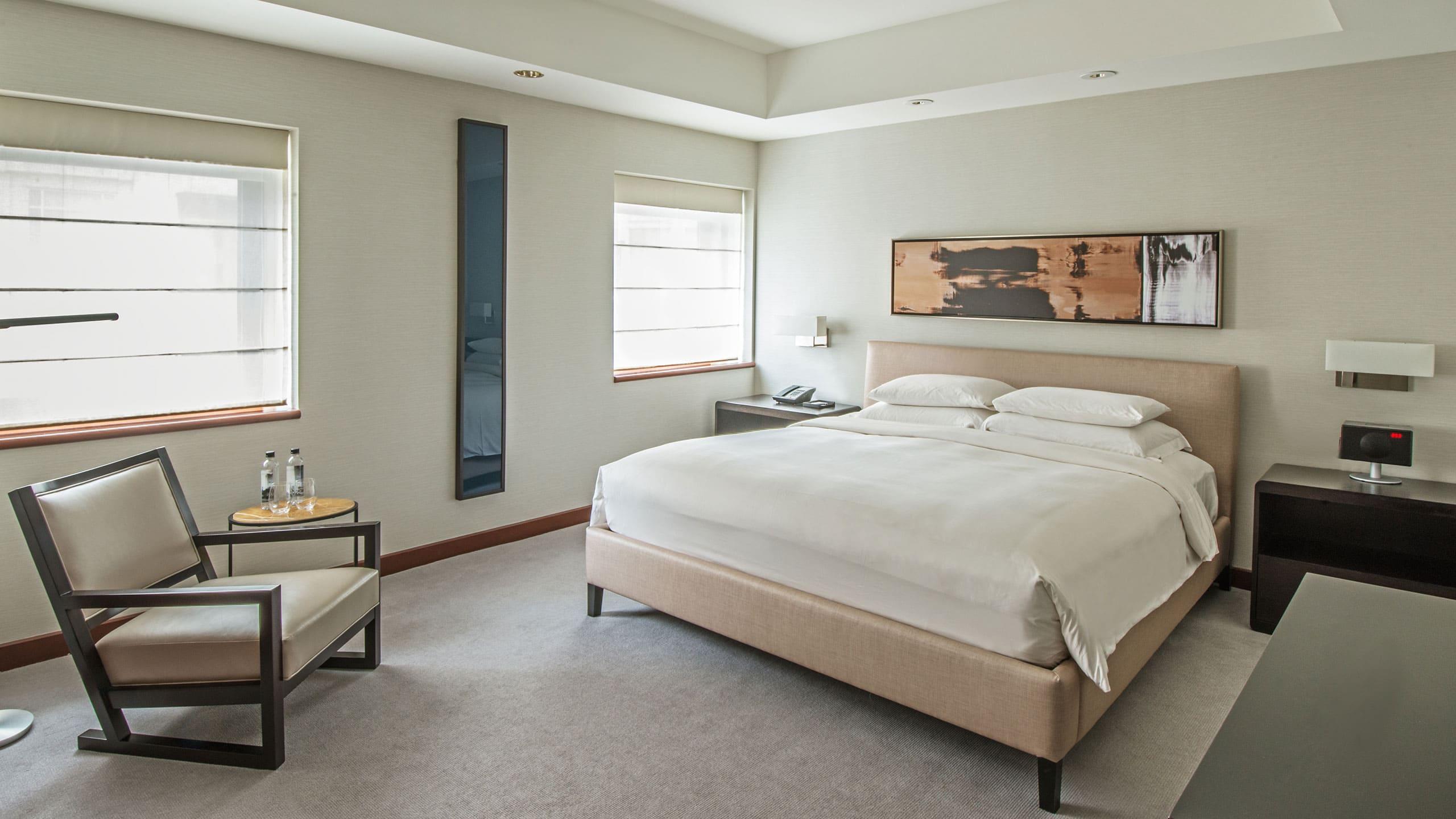 Suite King Bed Non Smoking