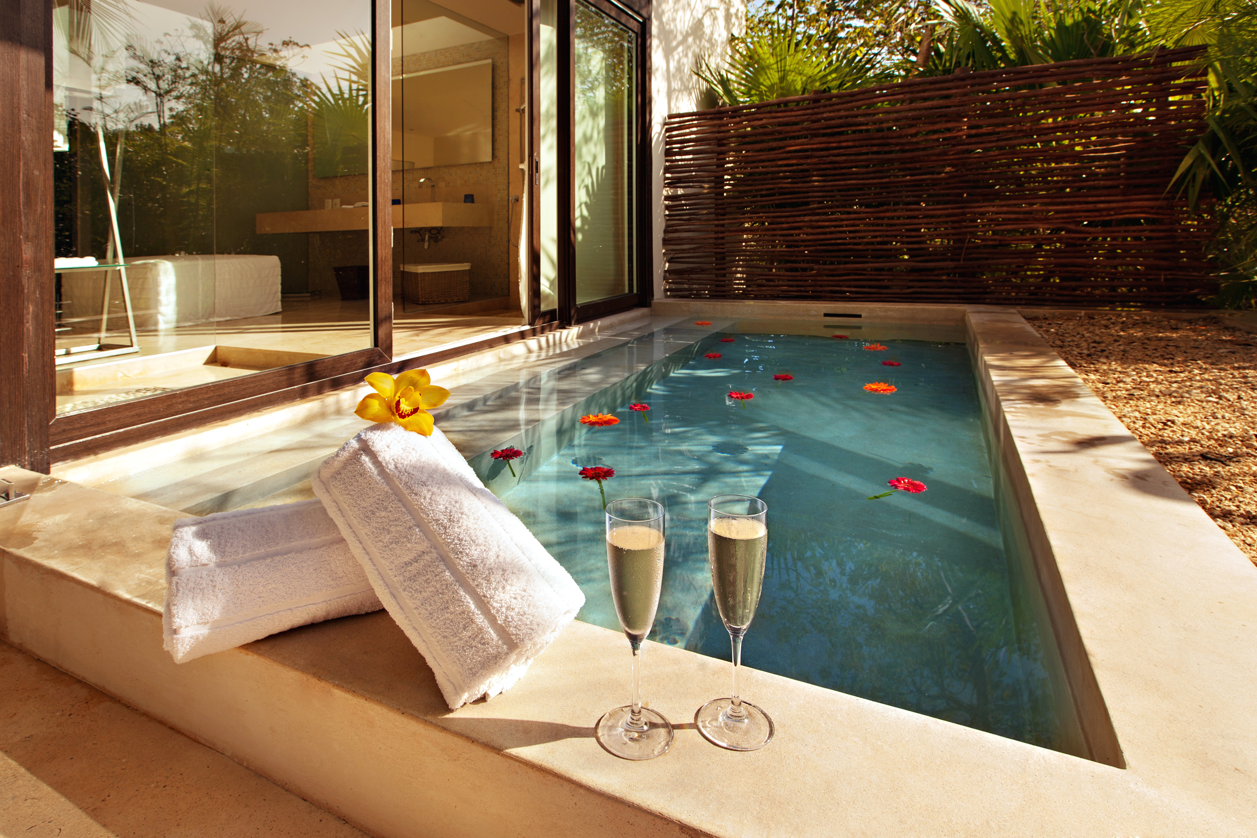 Suite Deluxe Premium