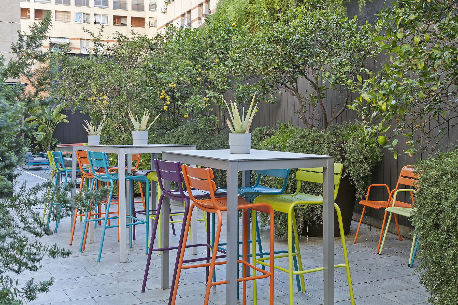 Terrace
