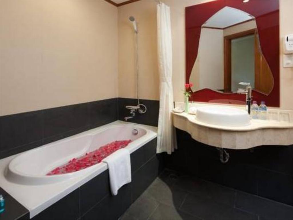 Double or Twin Superior