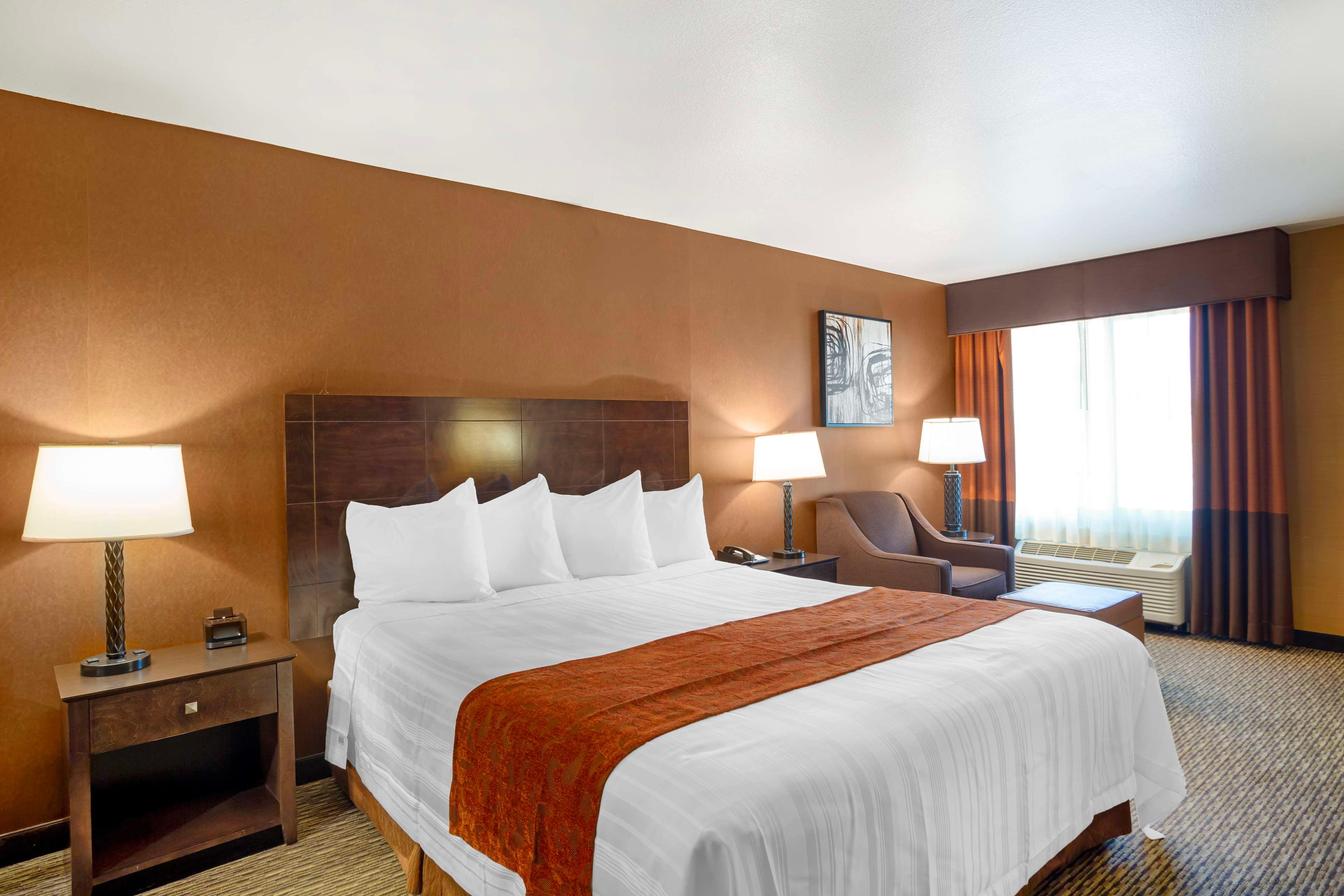 Room King Bed Non Smoking