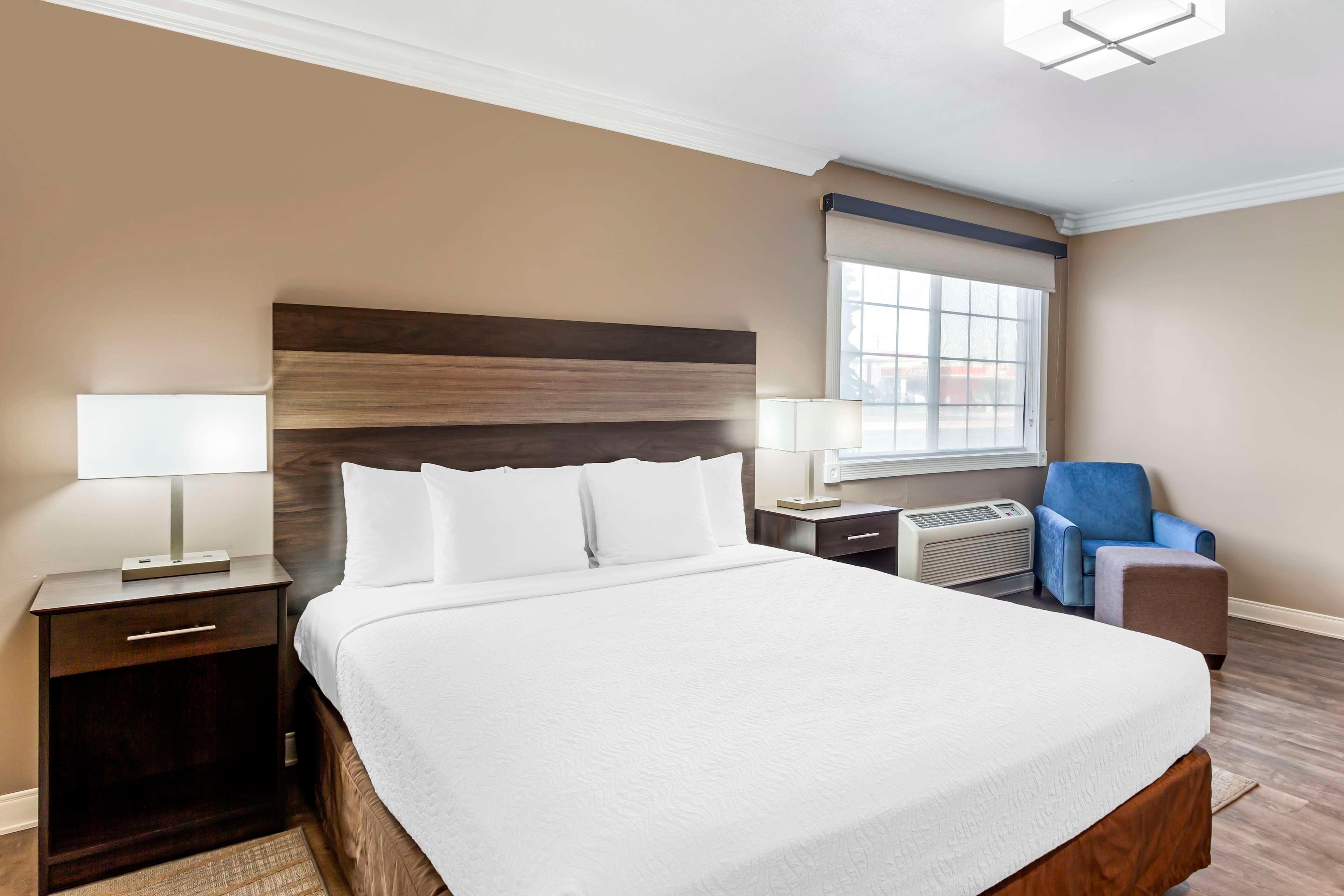 Room King Bed Non Smoking