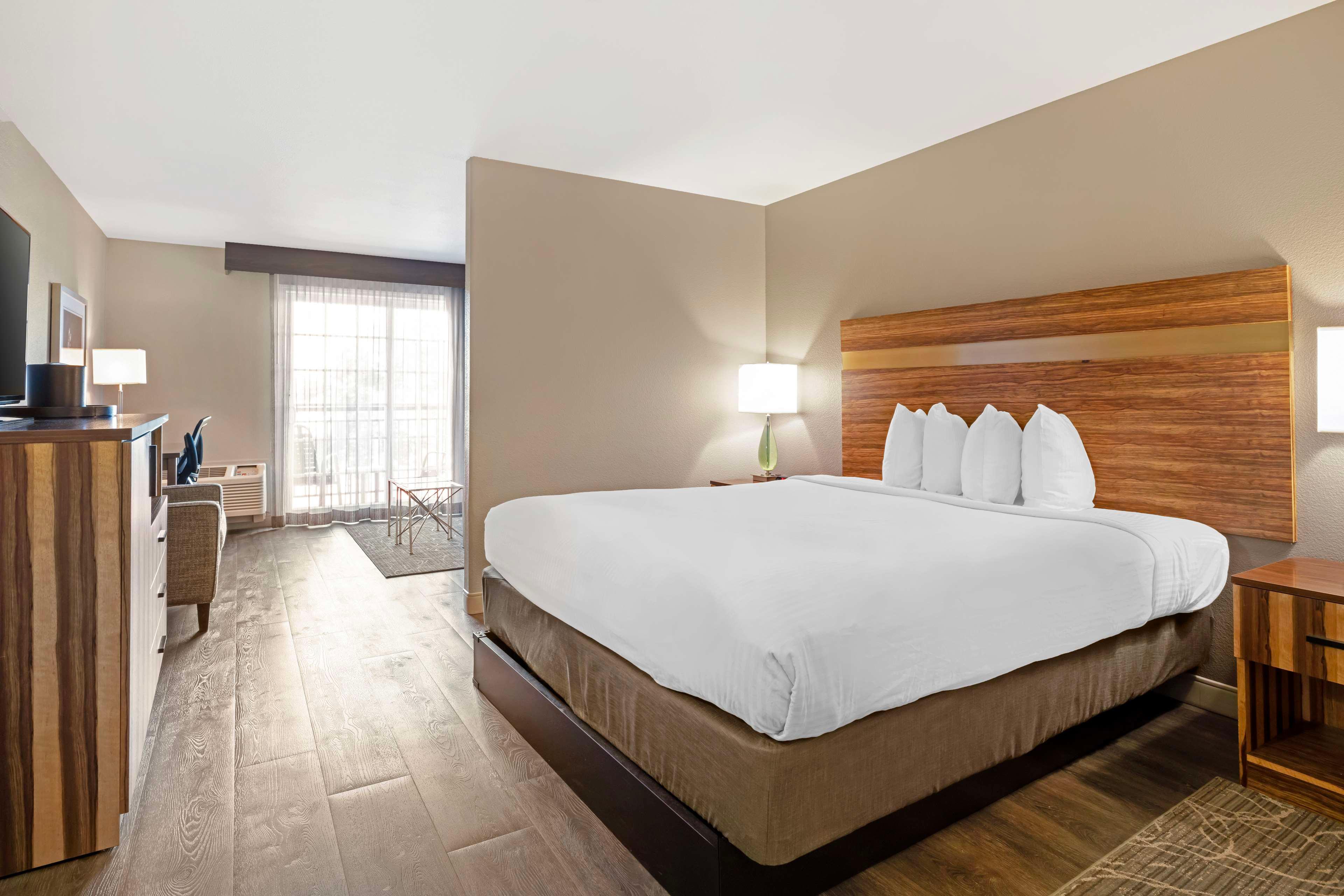 Suite King Bed Non Smoking