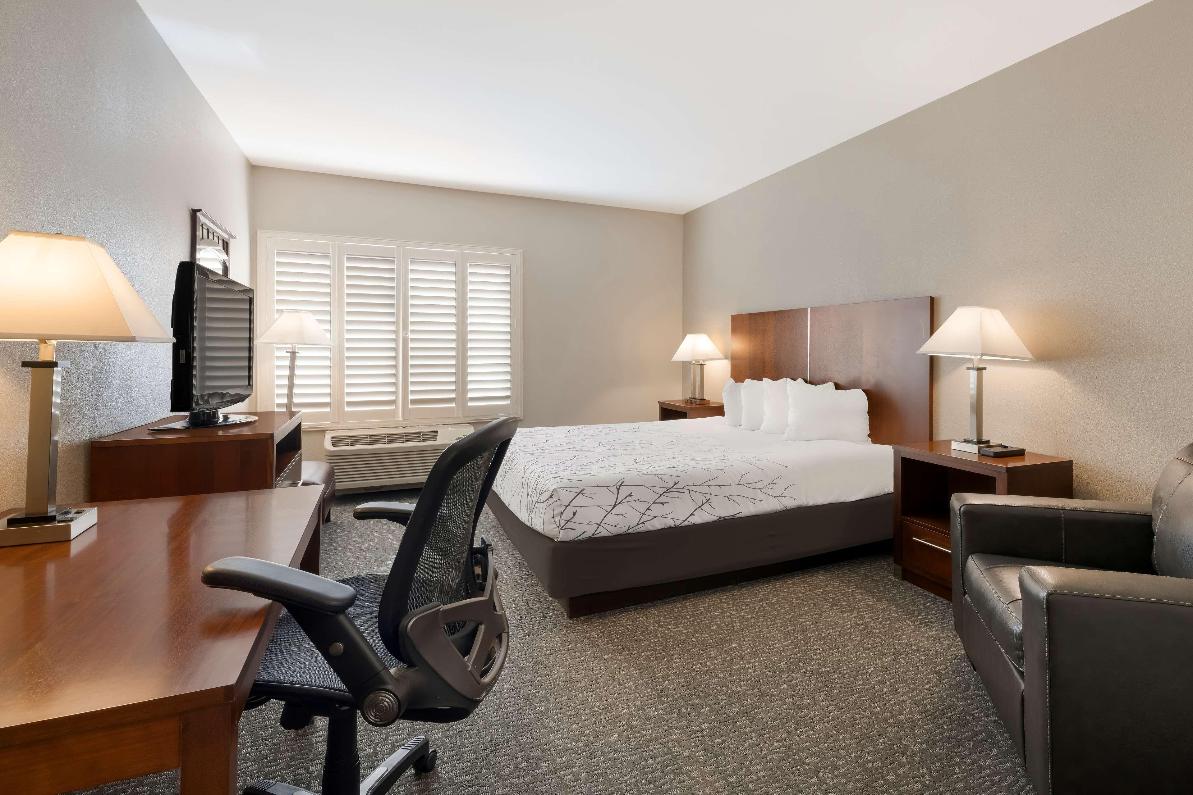 Room King Bed Non Smoking