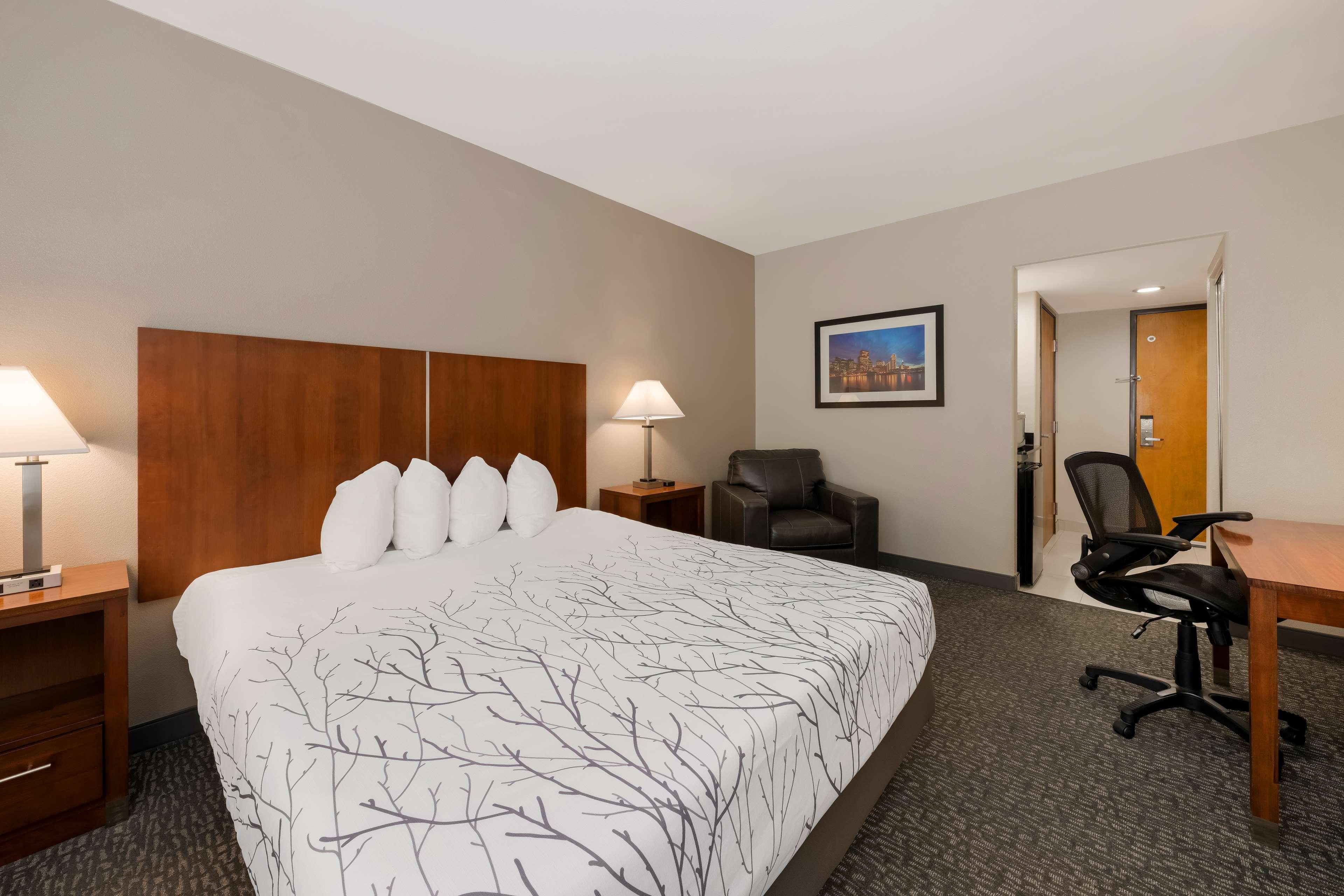 Room King Bed Non Smoking