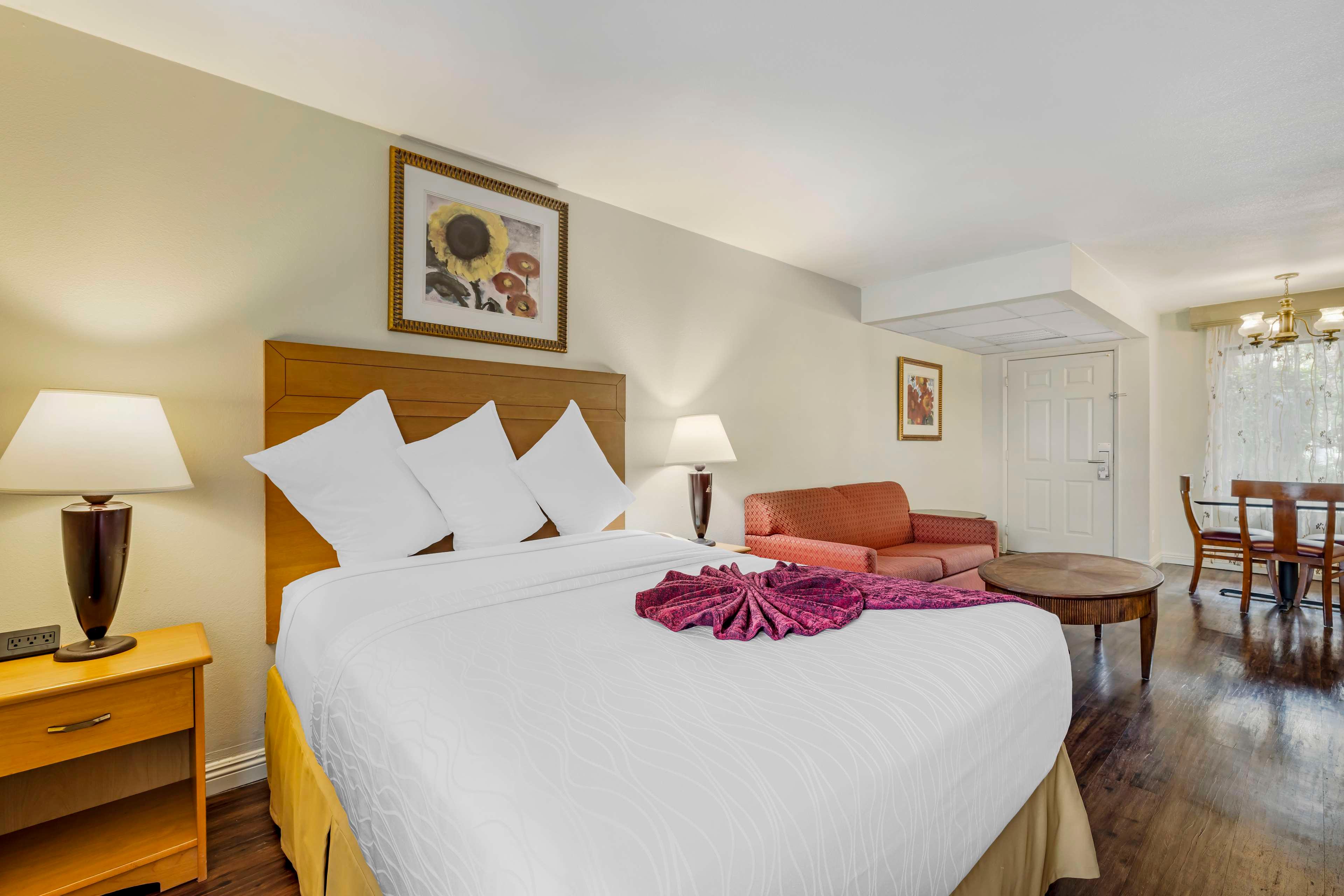 Suite King Bed Non Smoking