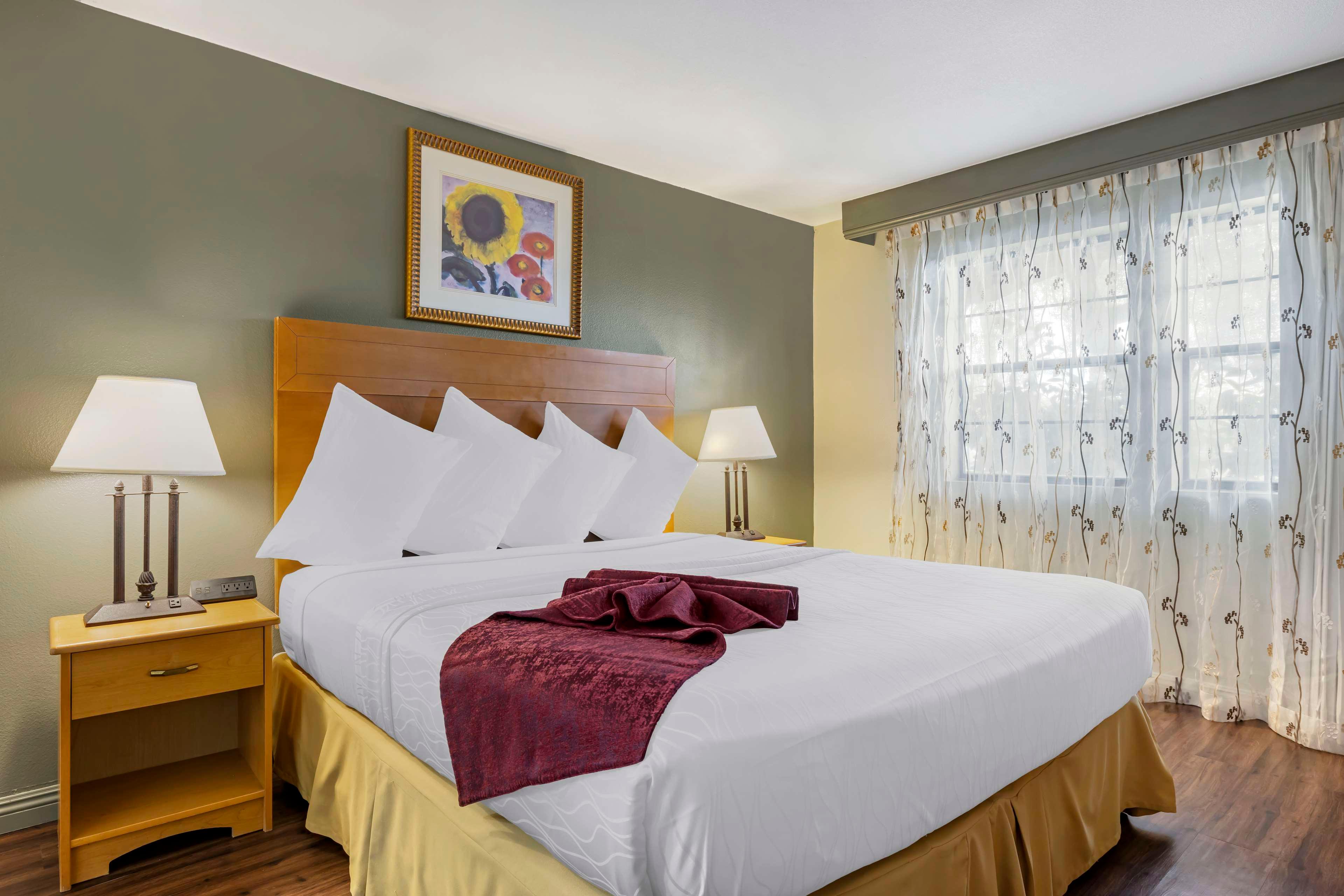 Suite King Bed Non Smoking