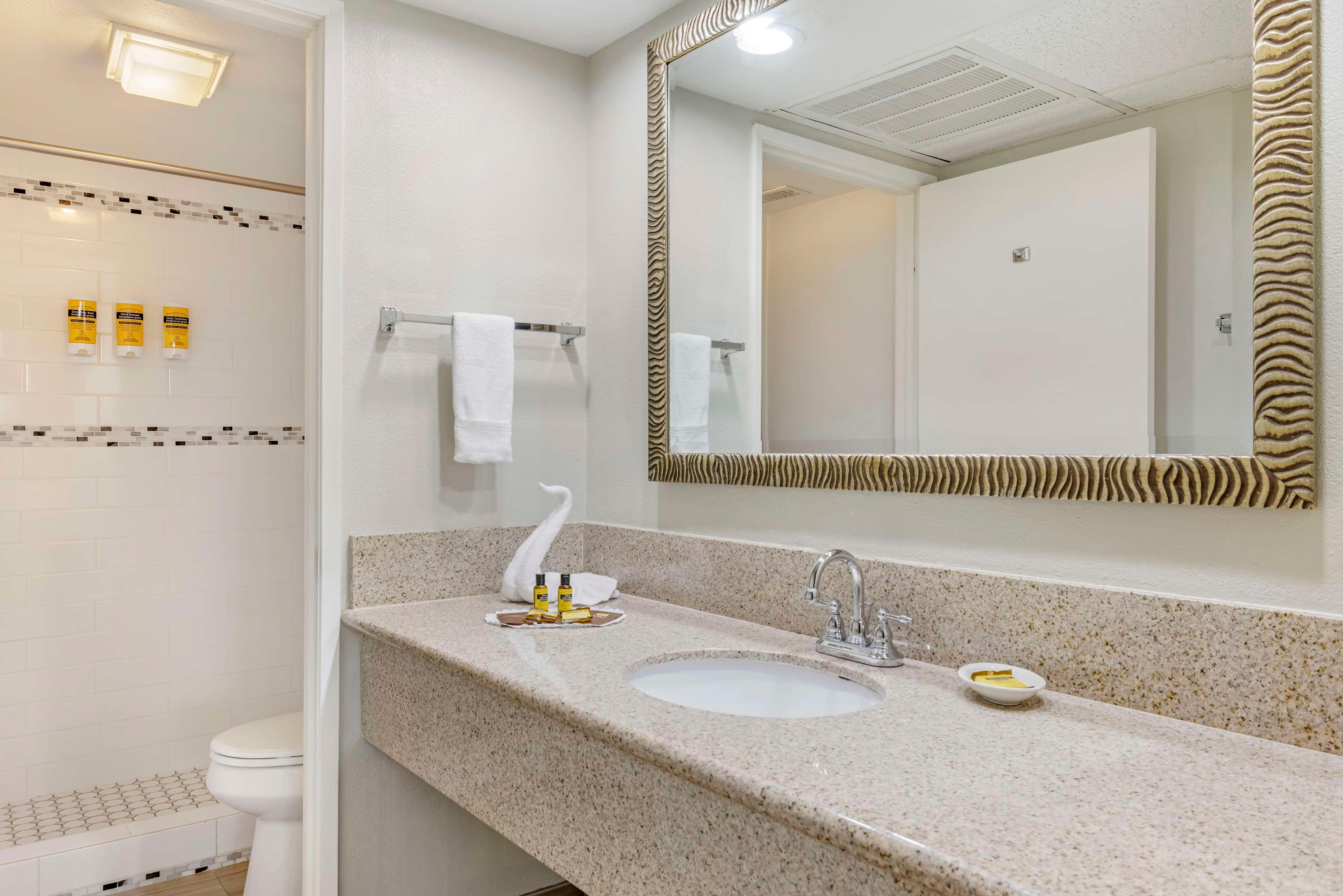 Suite King Bed Non Smoking