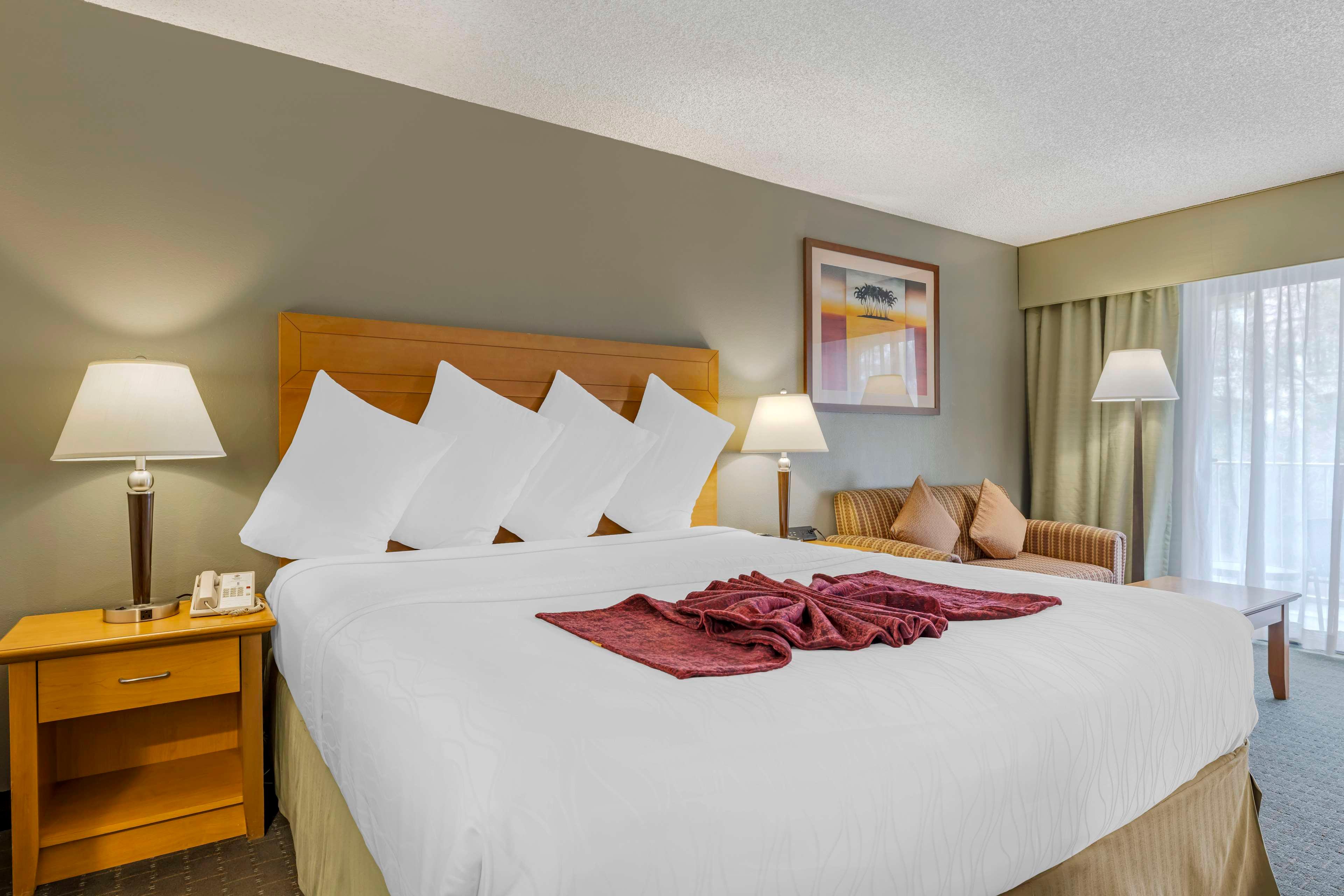 Room King Bed Non Smoking