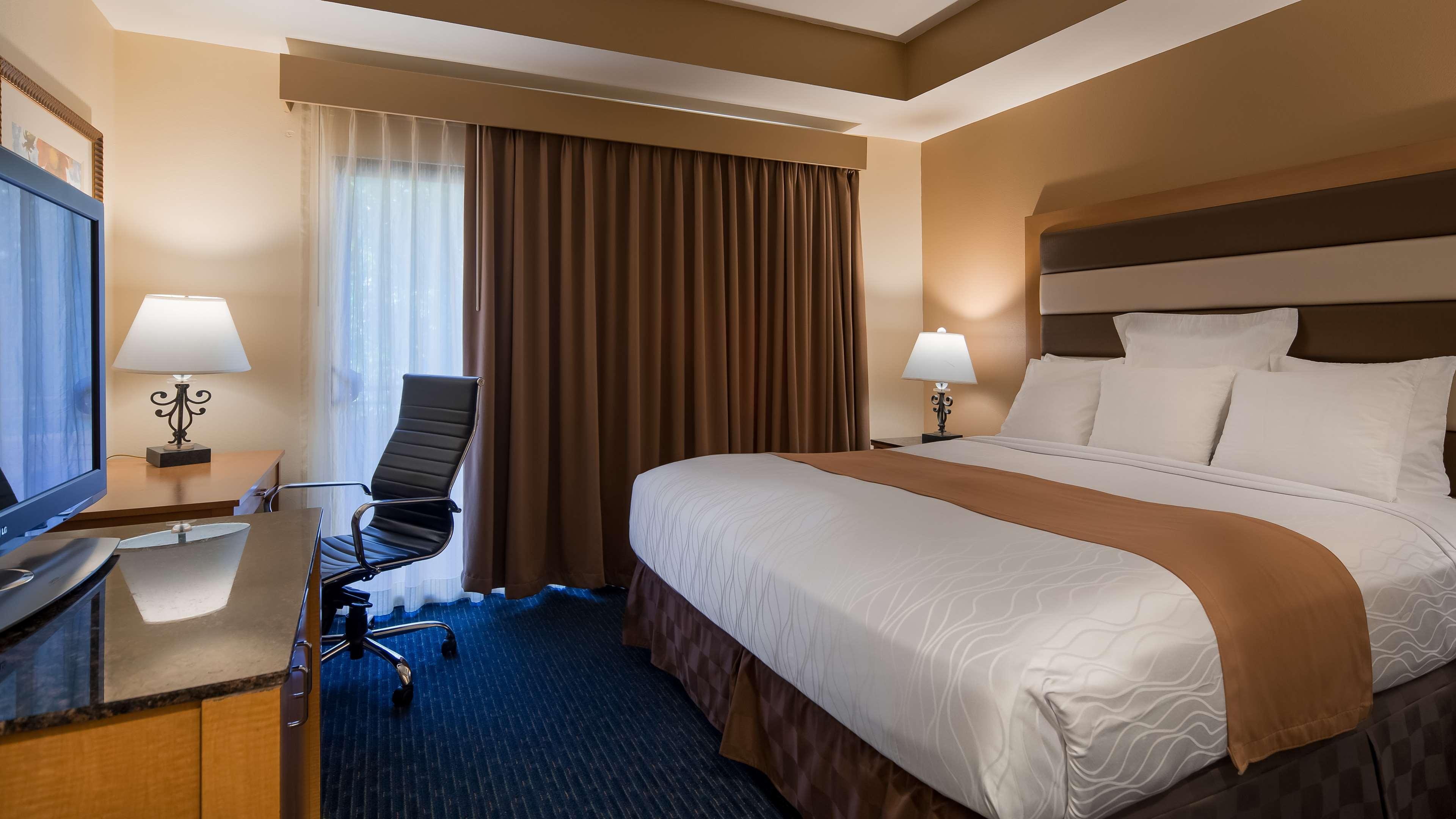 Suite King Bed Non Smoking