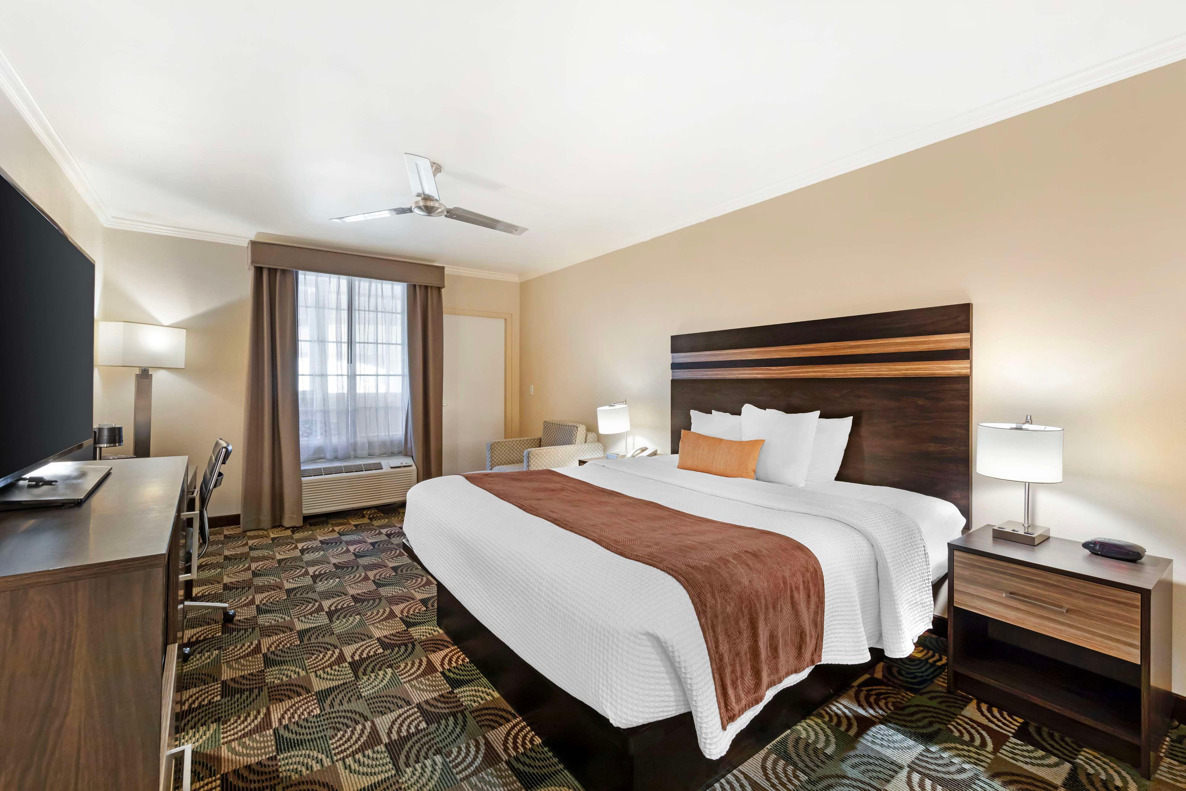 Suite King Bed Non Smoking