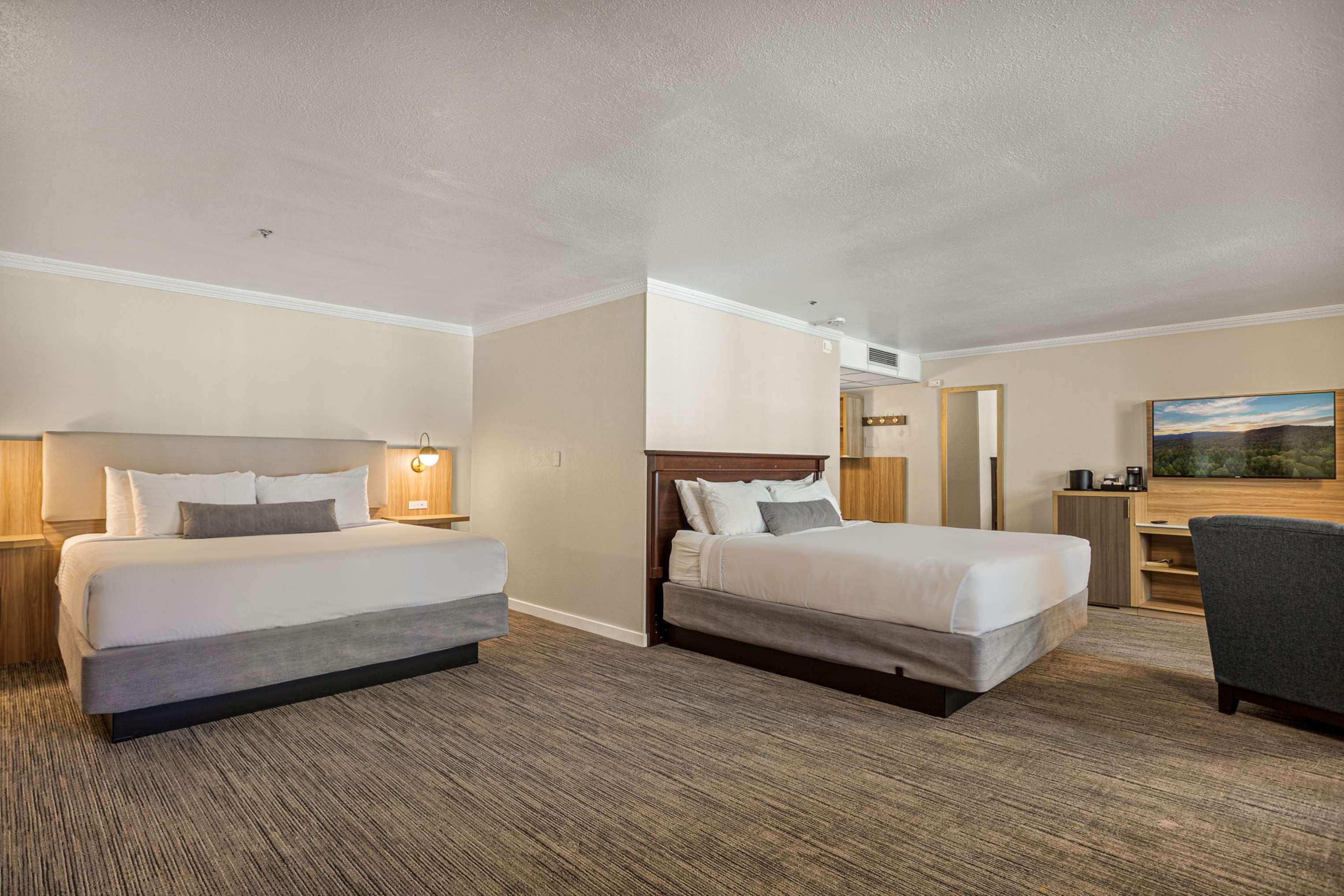 Double Two King Beds