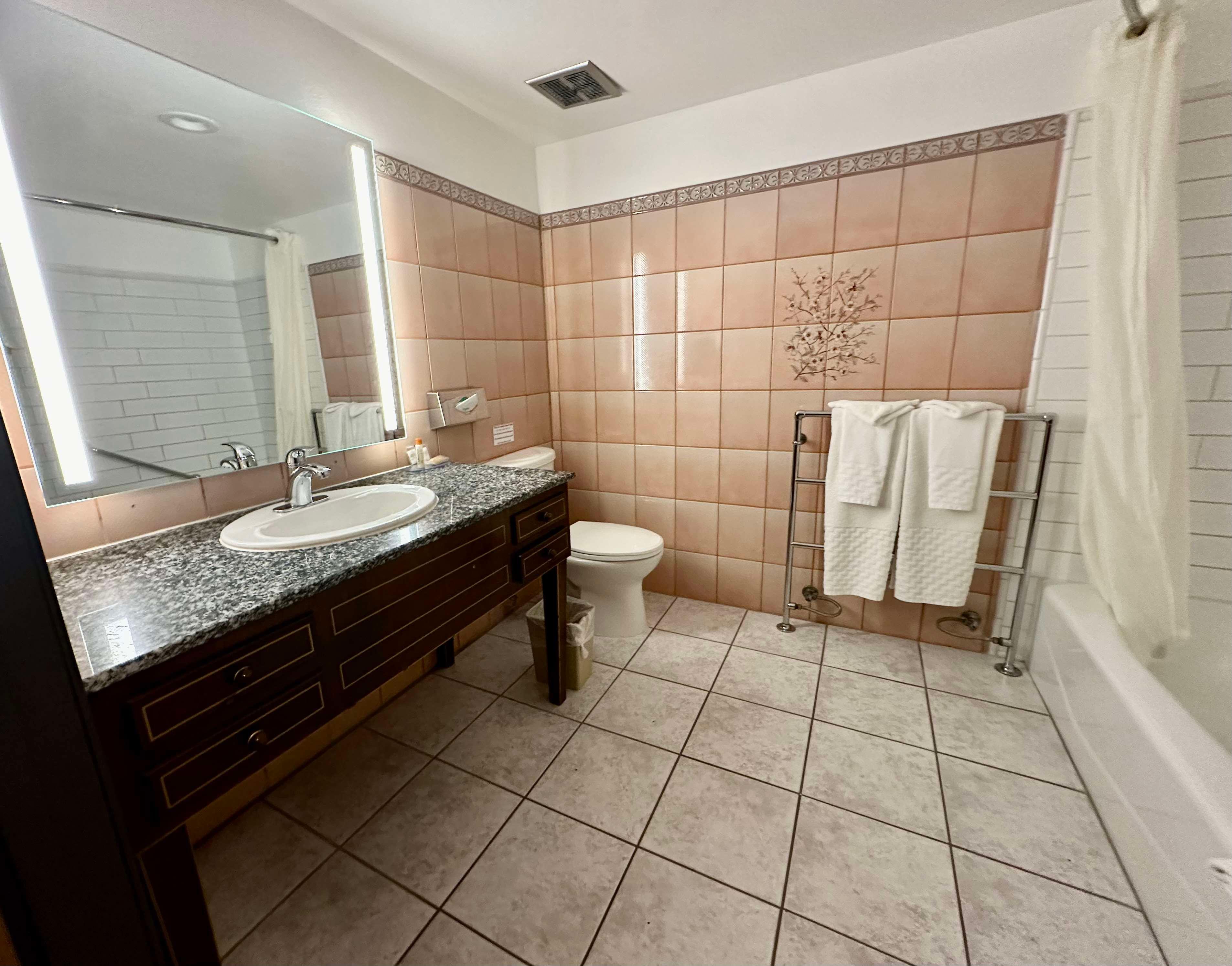 Room Accessible King Size Bed