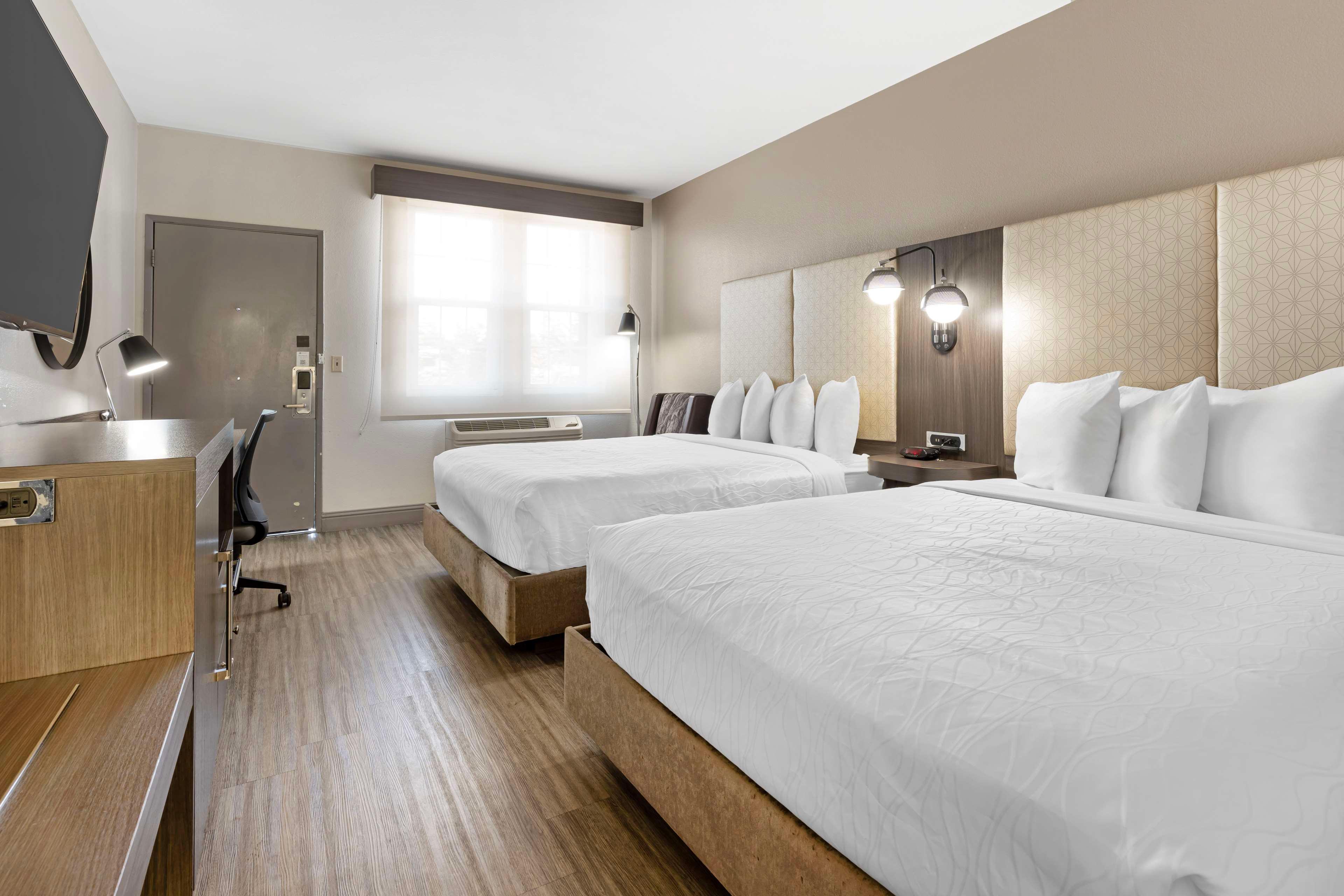 Room Two Double Beds