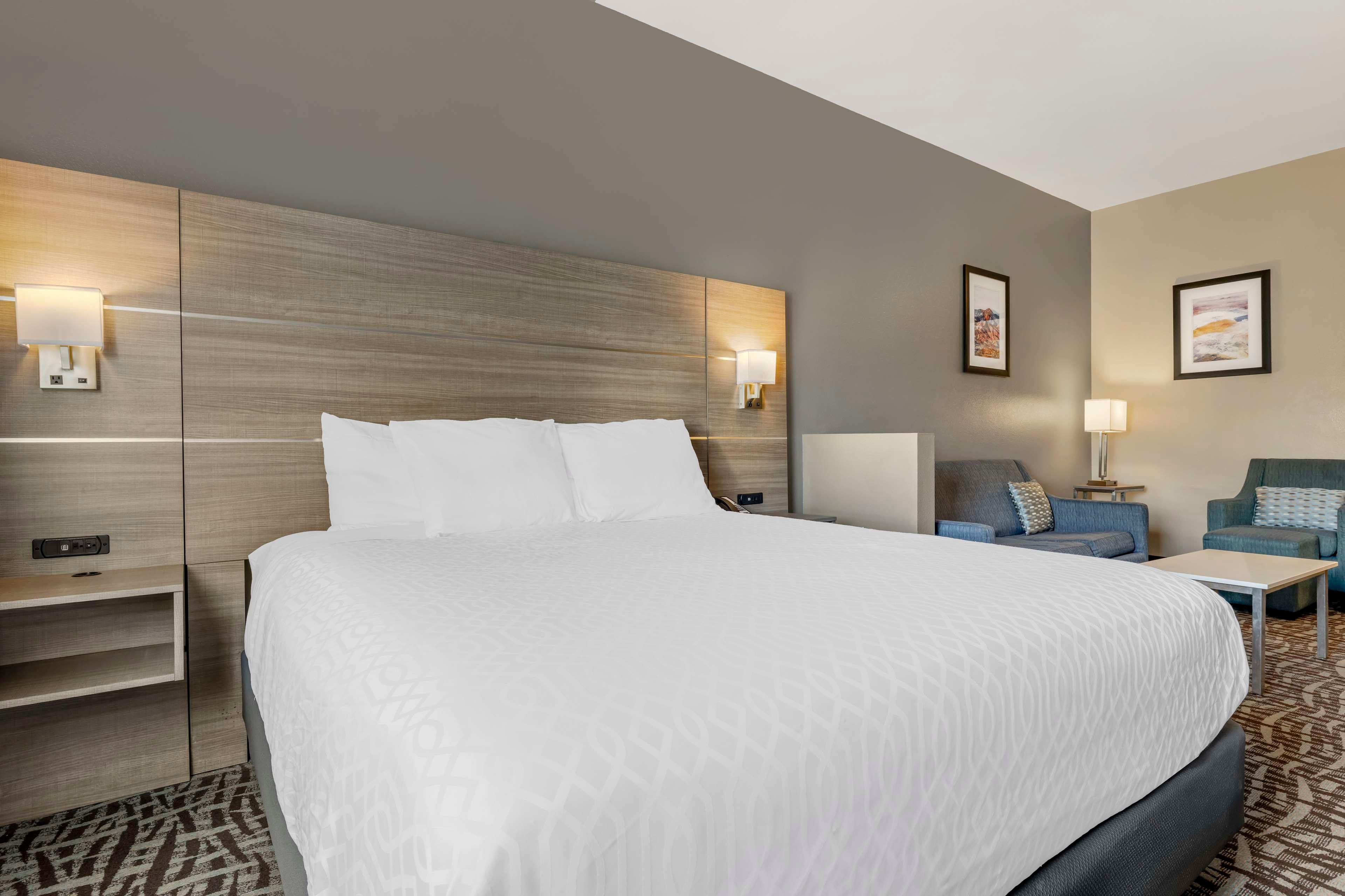 Suite King Bed Non Smoking