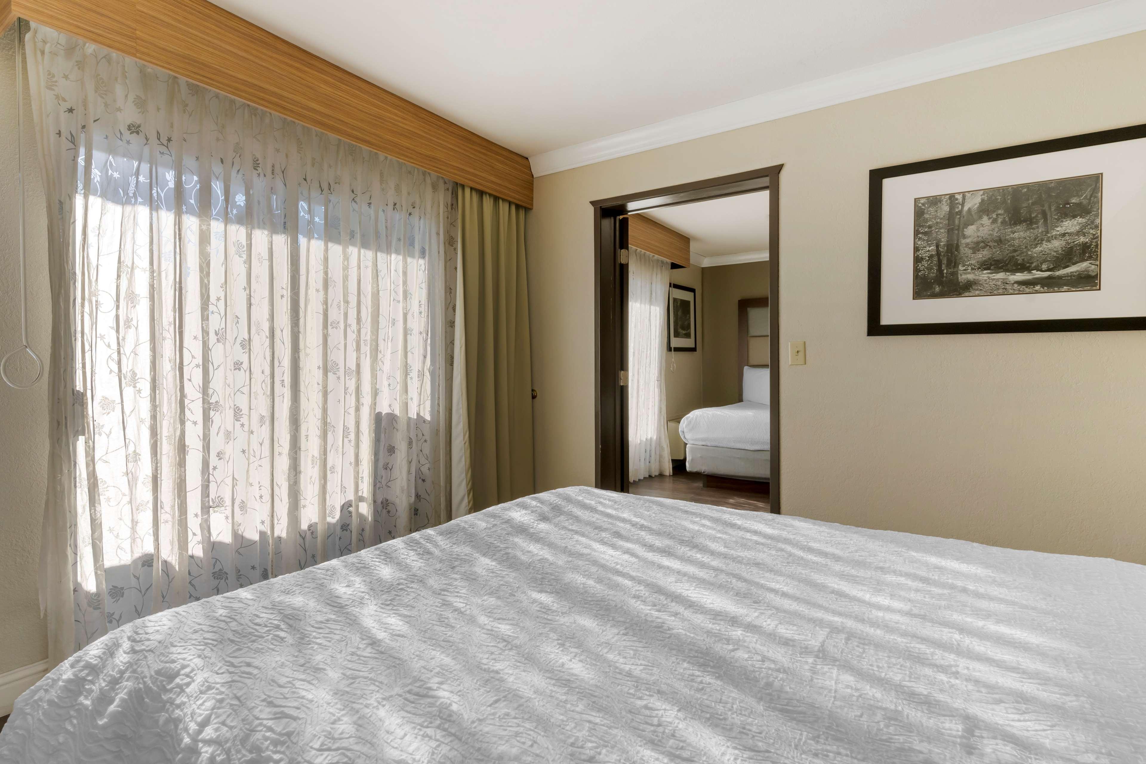 Suite Two Queen Beds