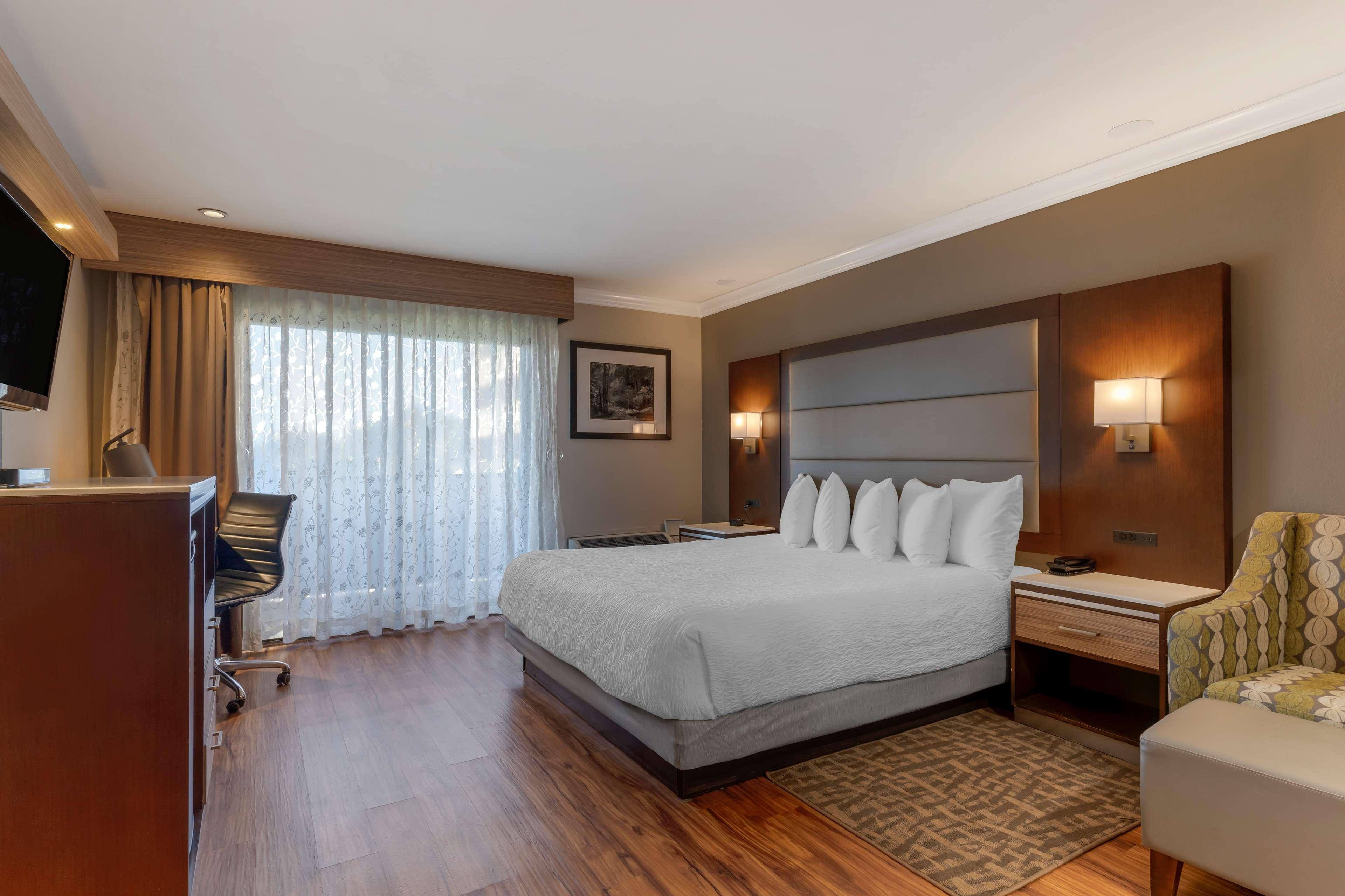 Double Accessible King Size Bed